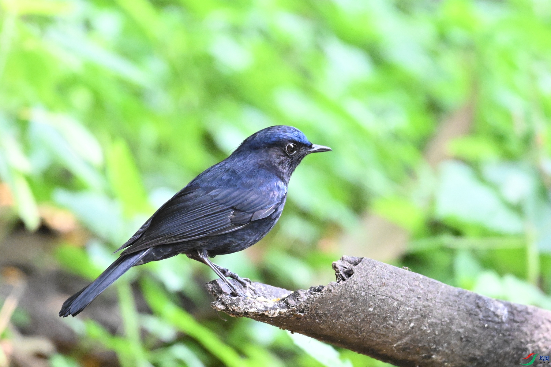 DSC_6367.JPG
