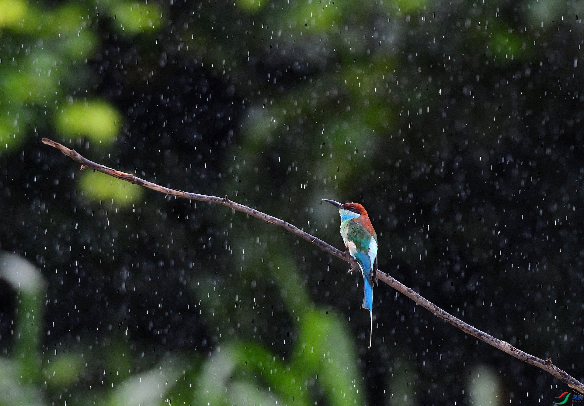 DSC_4019.jpg