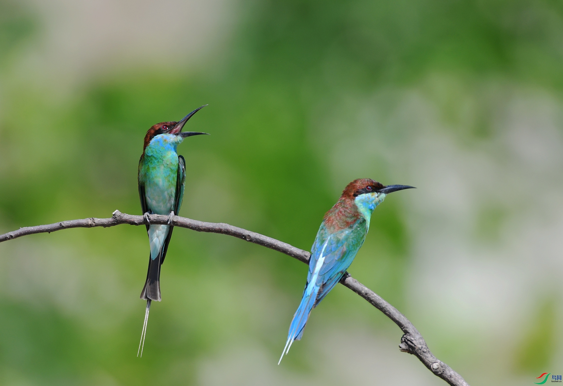 DSC_0070.jpg