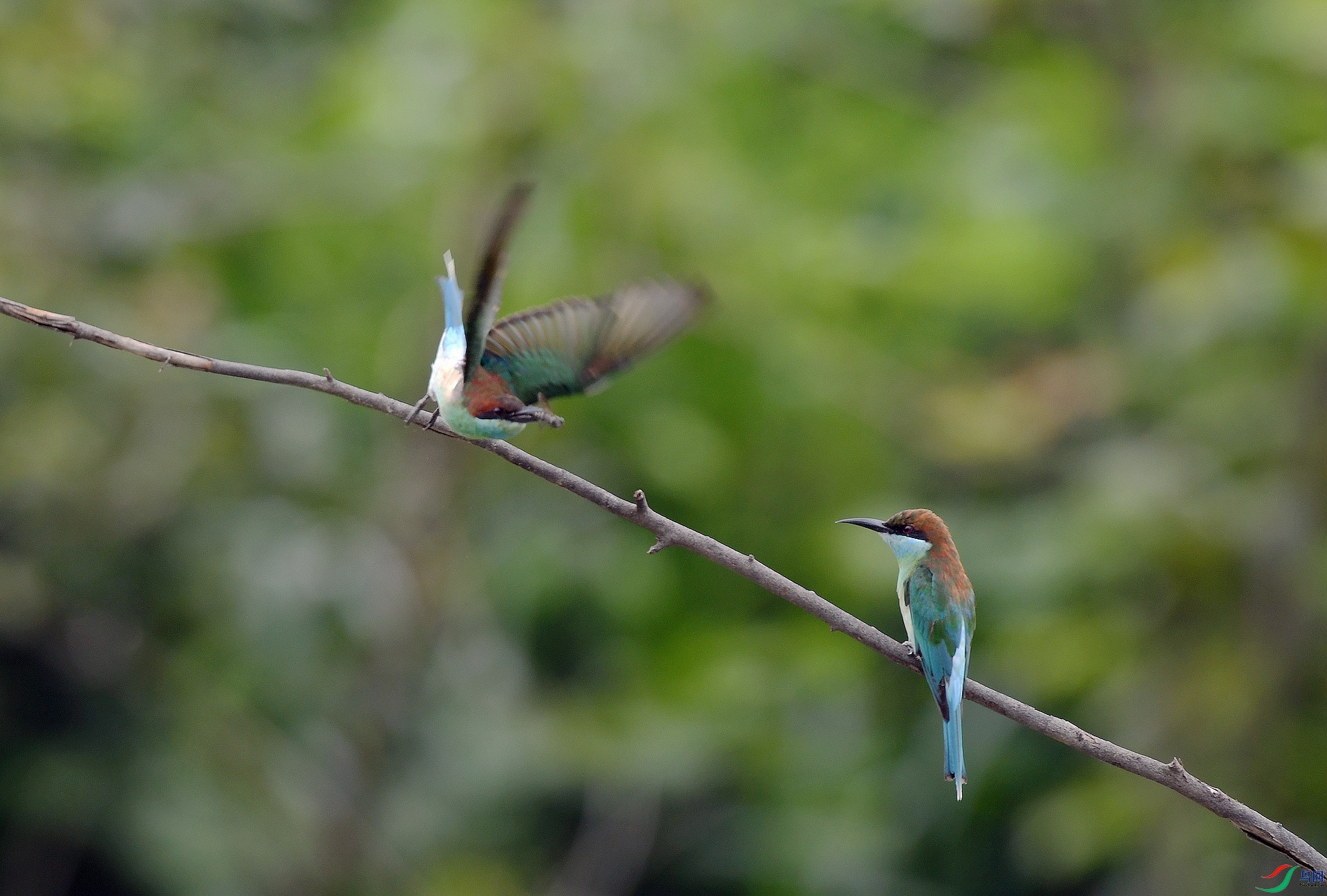 DSC_6121.jpg