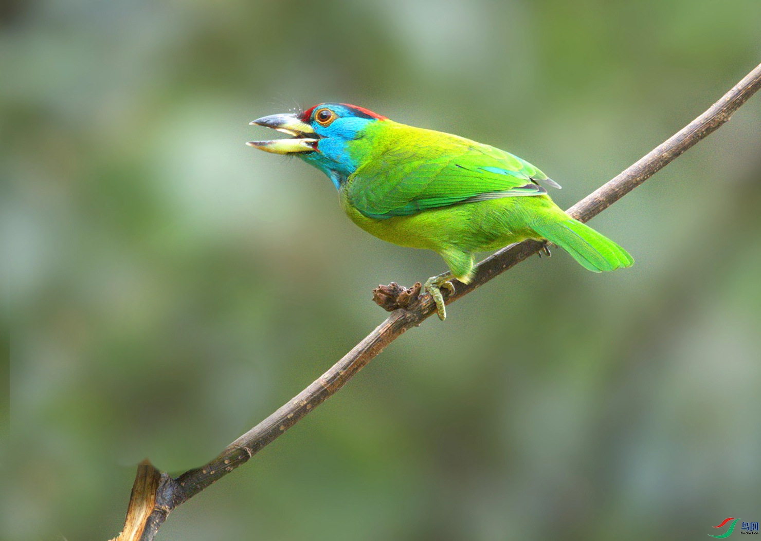 DSC_2949_.jpg