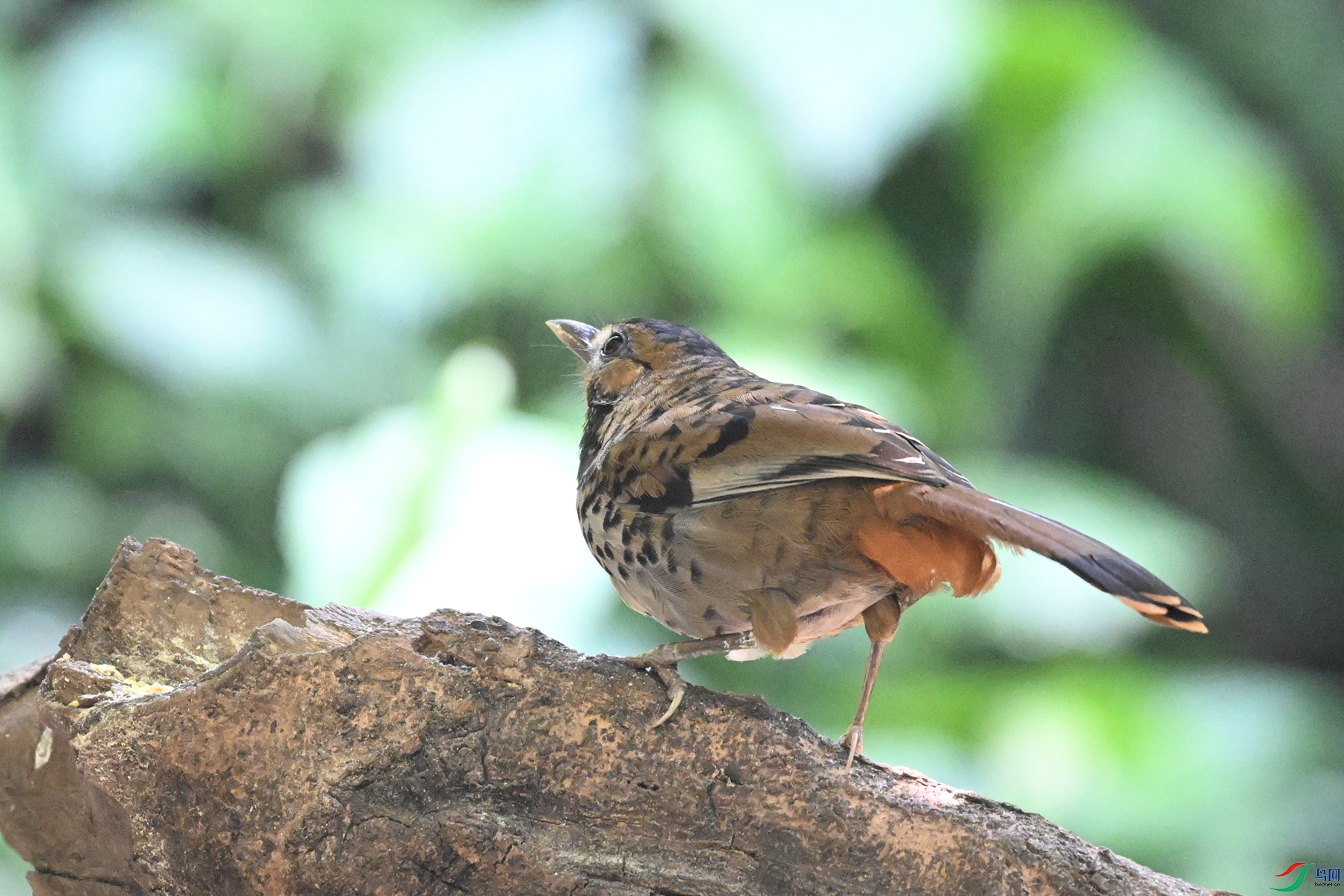 DSC_6362.JPG