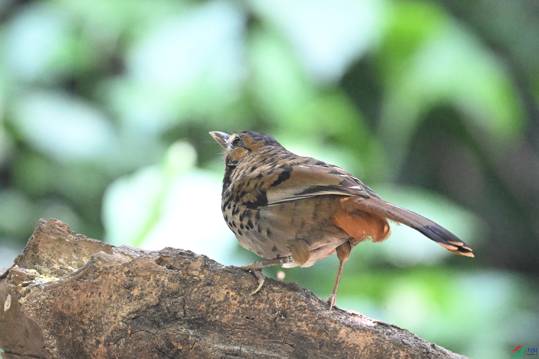 DSC_6363.JPG