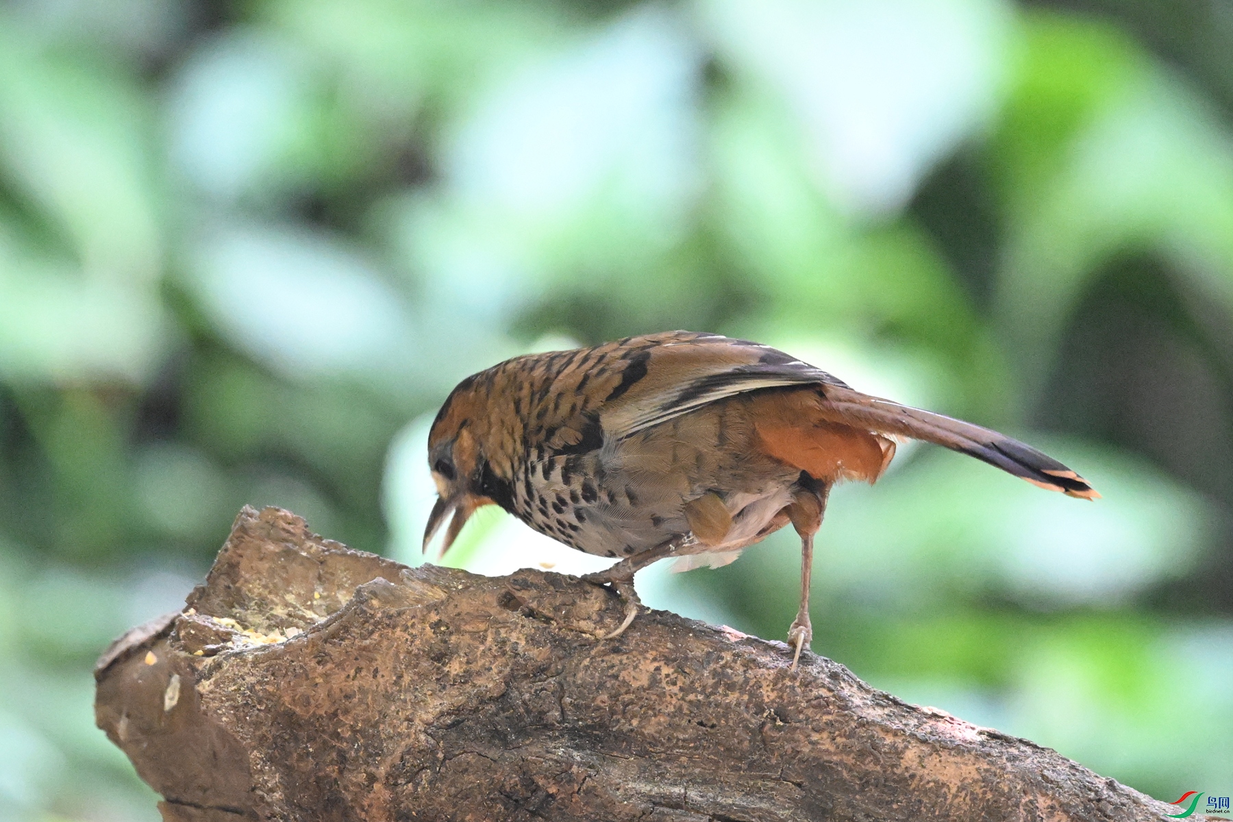 DSC_6364.JPG
