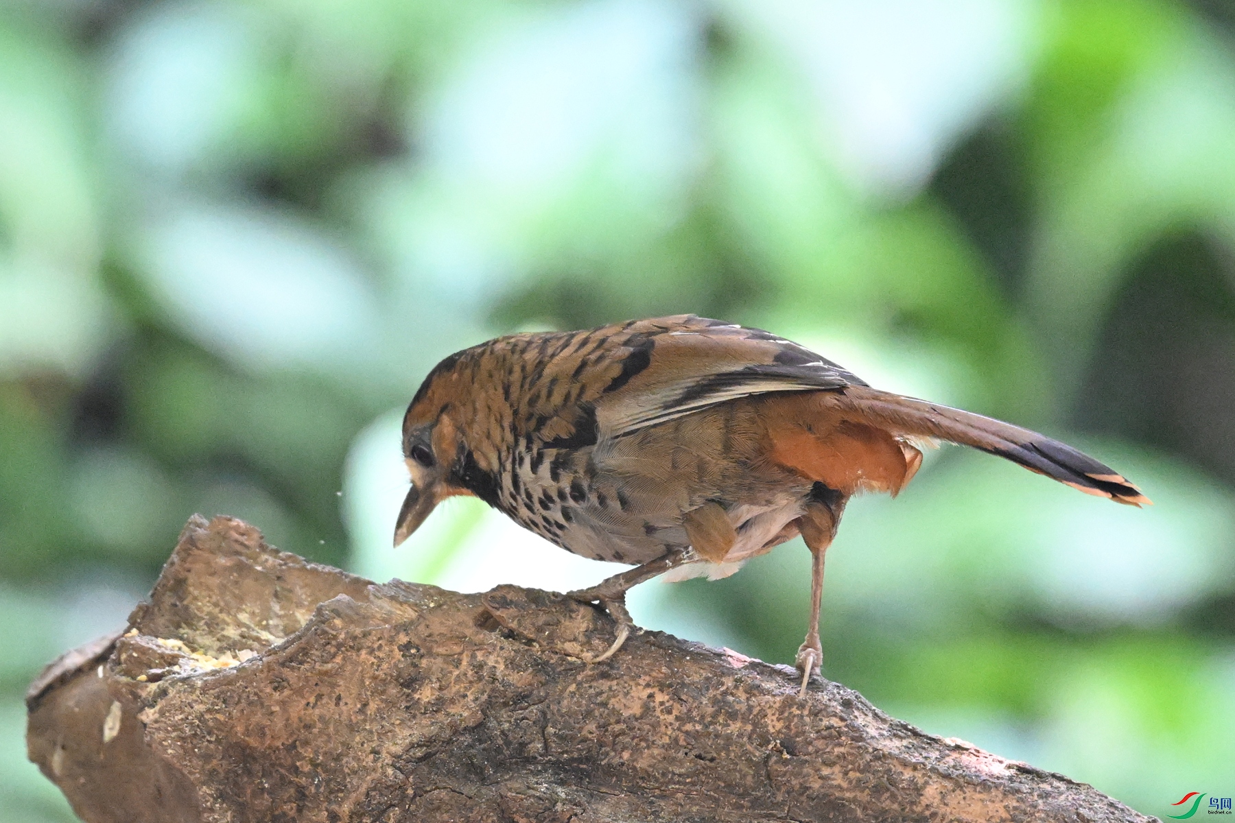 DSC_6365.JPG