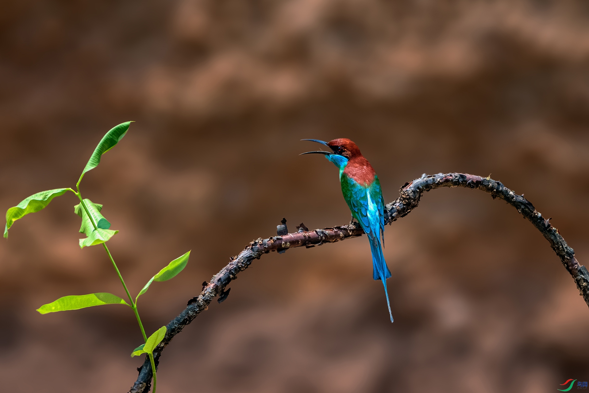 _AUU3510 �����仢(25.5.10).jpg