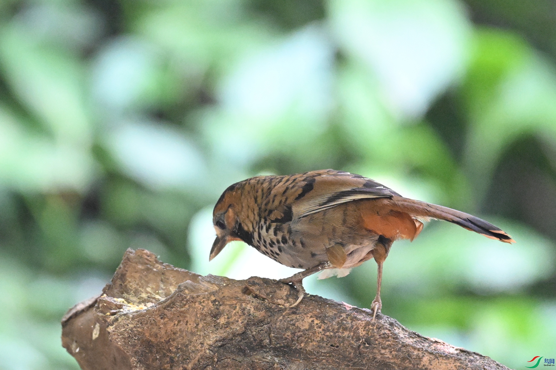 DSC_6366.JPG