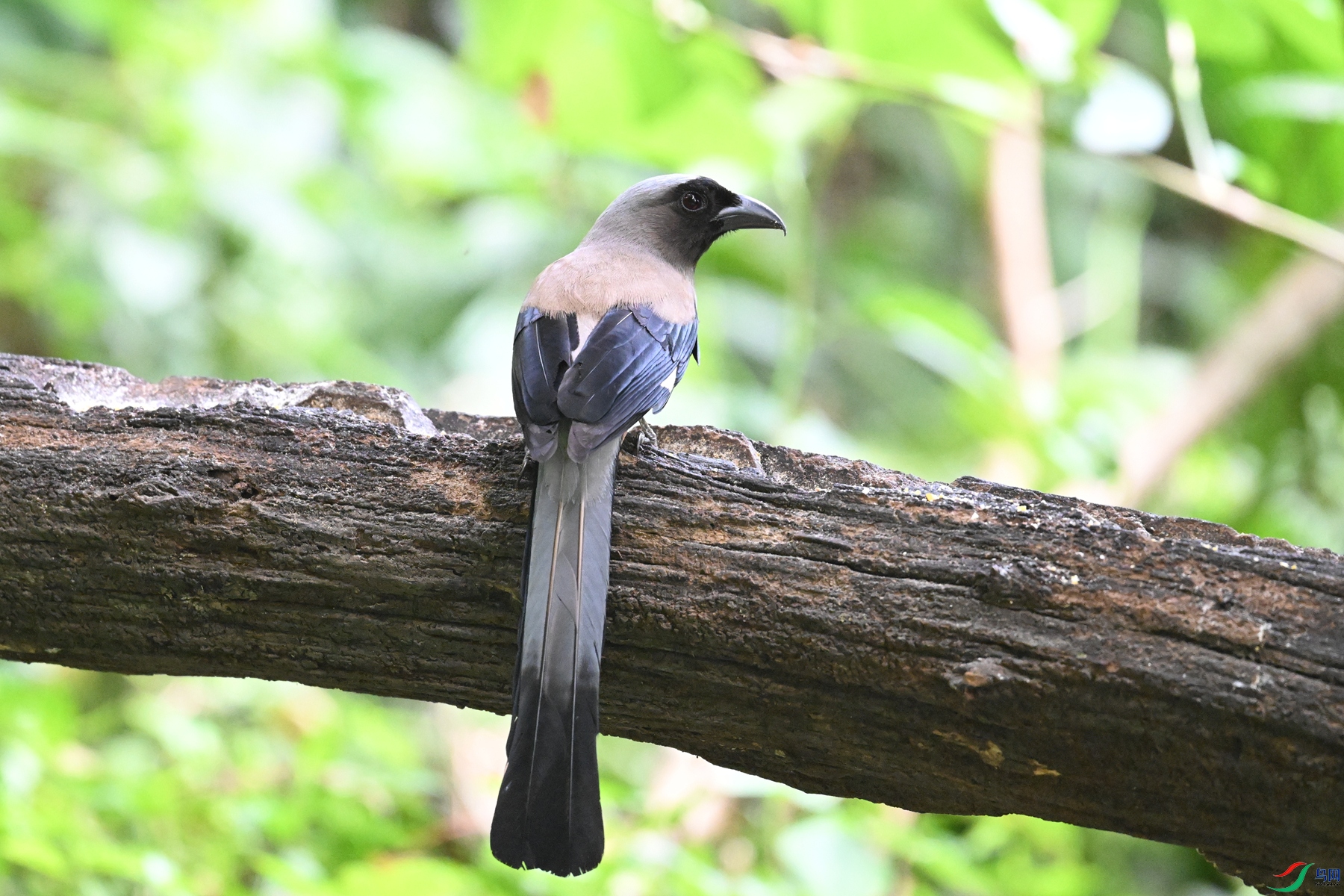 DSC_6373.JPG