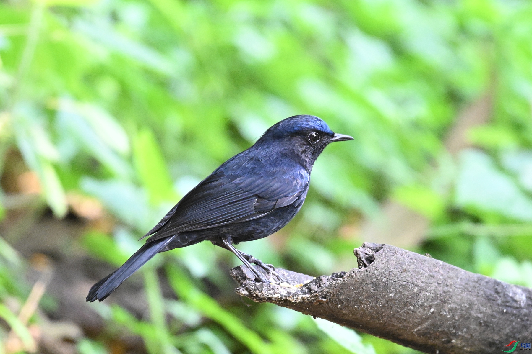 DSC_6368.JPG