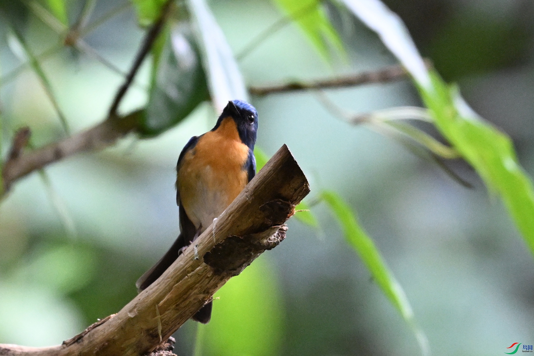 DSC_6406.JPG