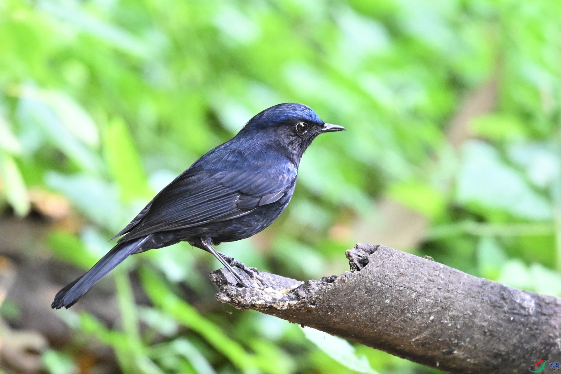 DSC_6369.JPG