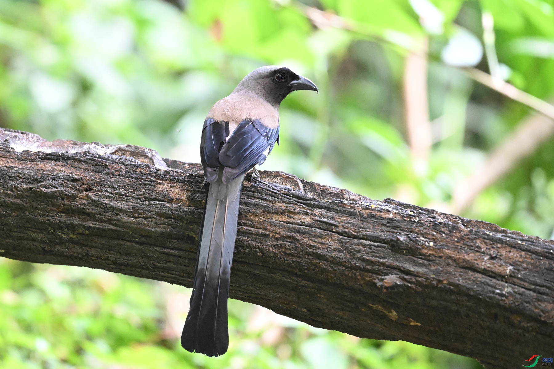 DSC_6374.JPG
