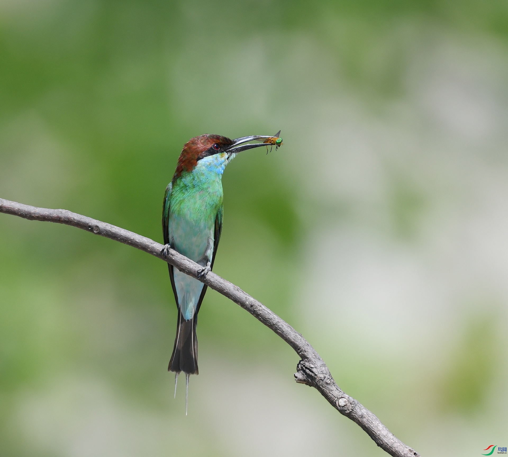 DSC_0299.jpg