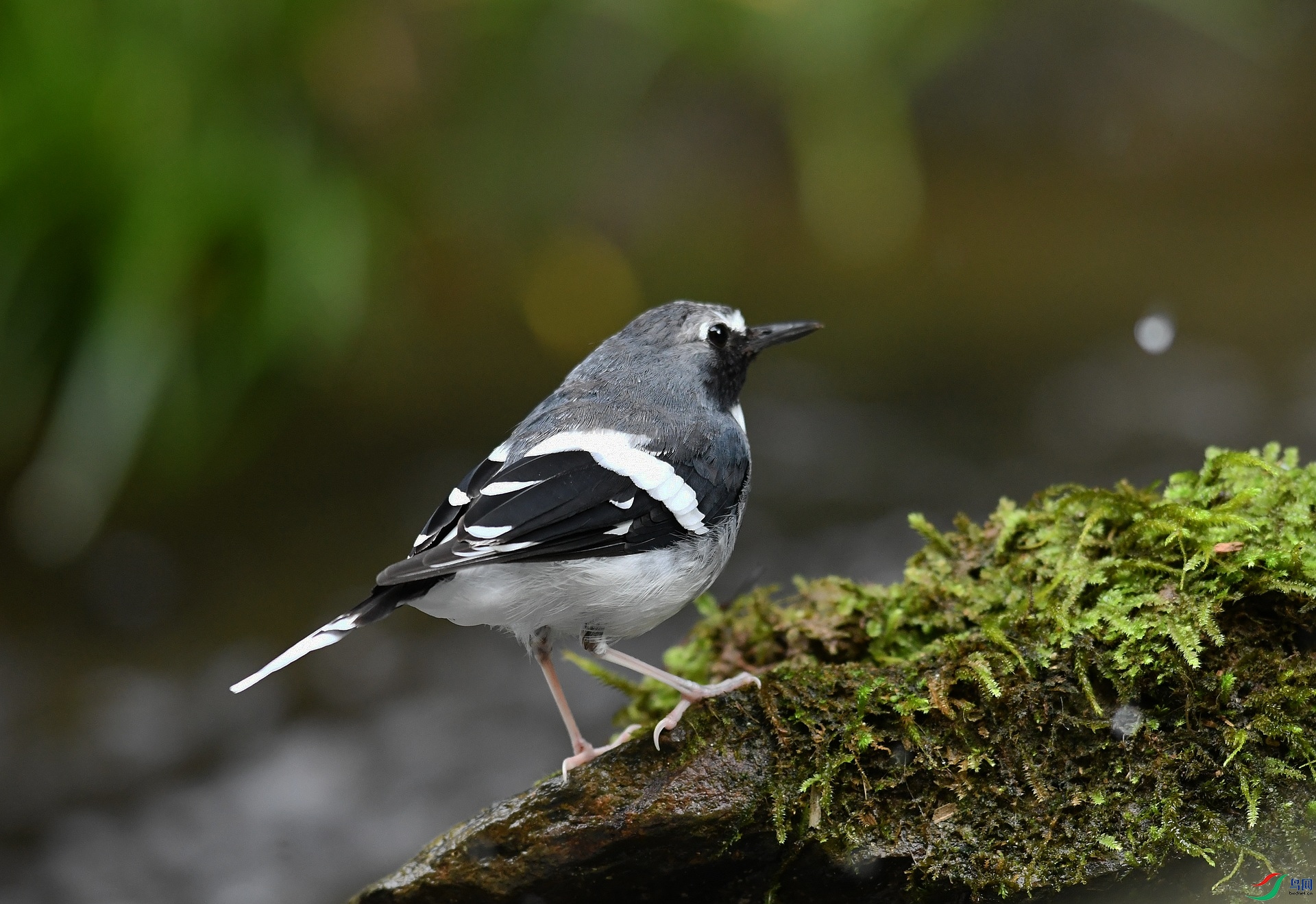 DSC_0465.jpg