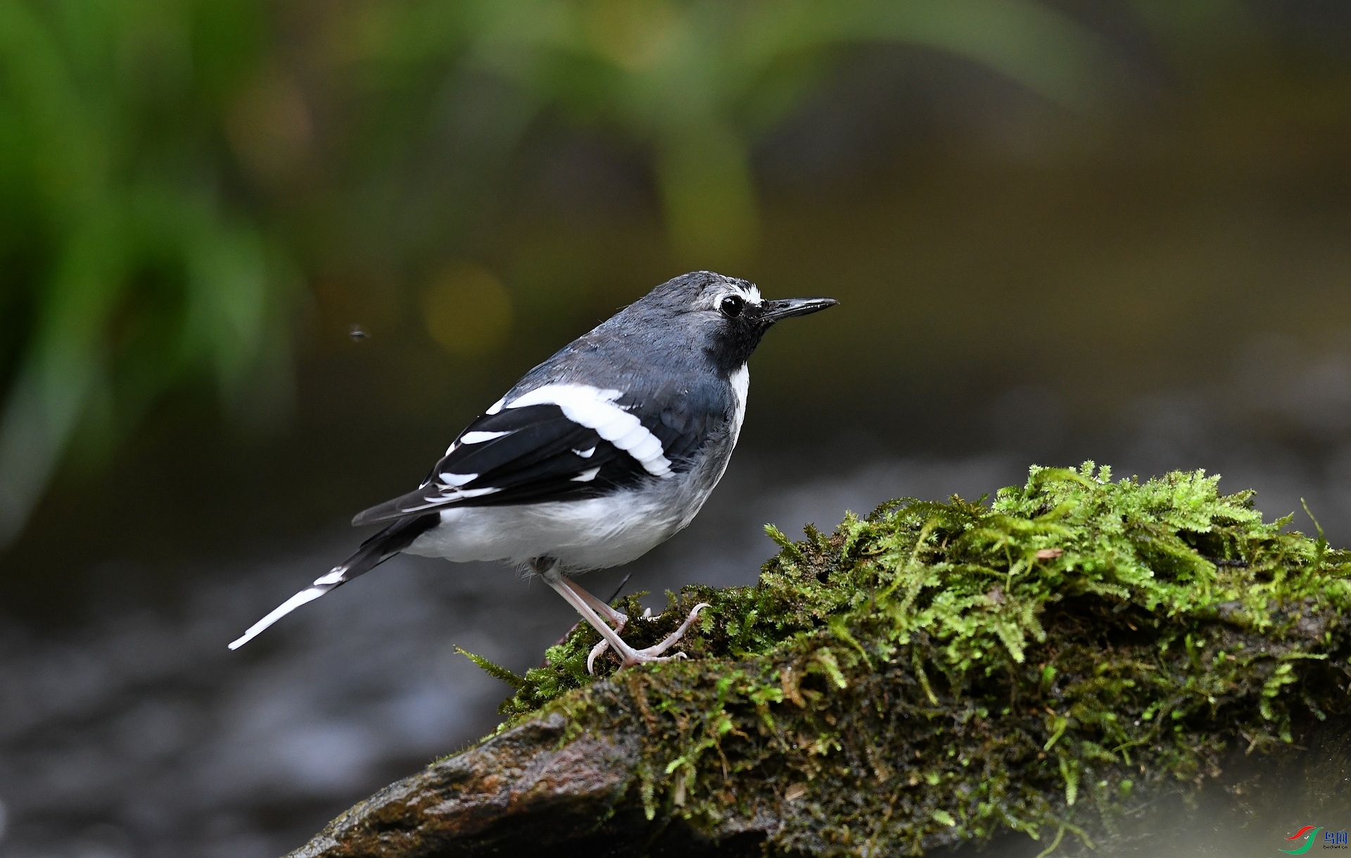 DSC_0477.jpg
