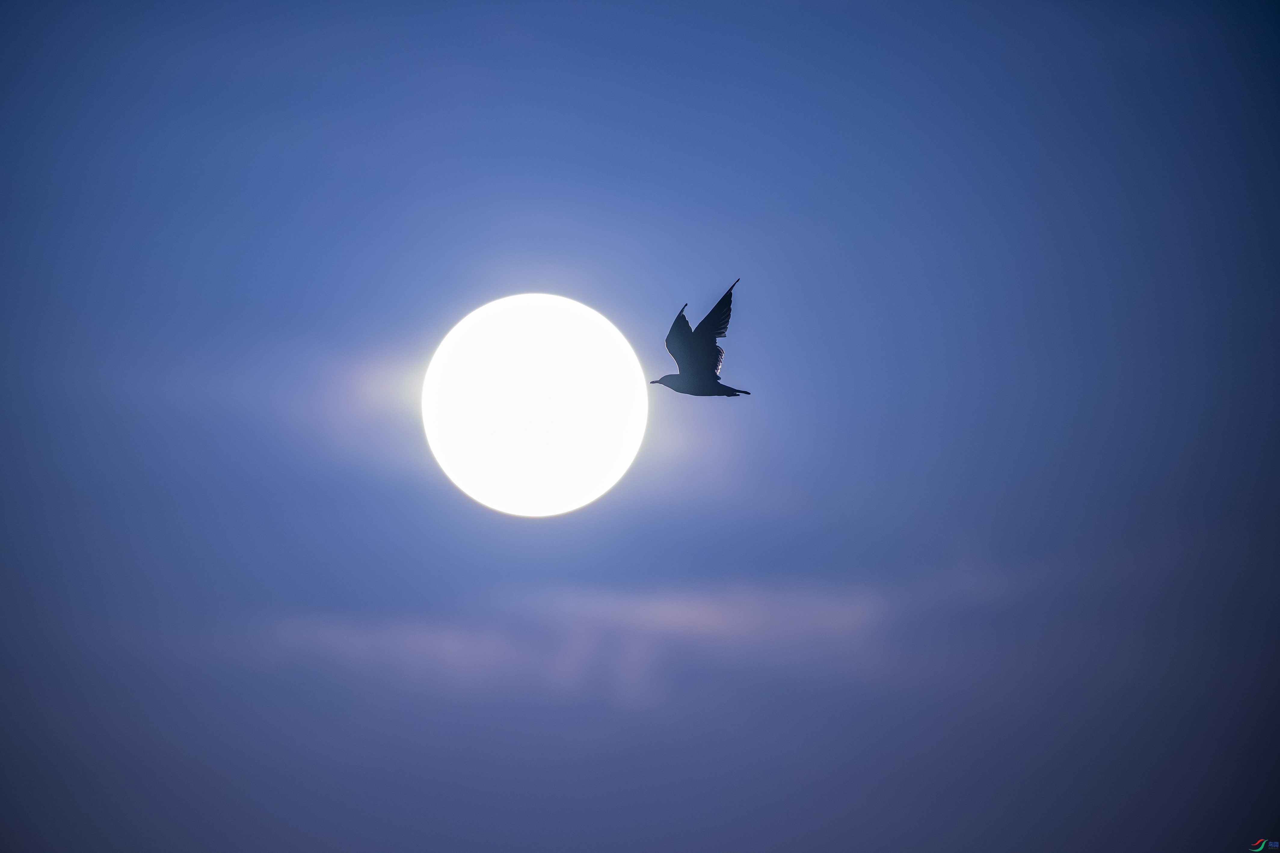 DSC_8655.jpg