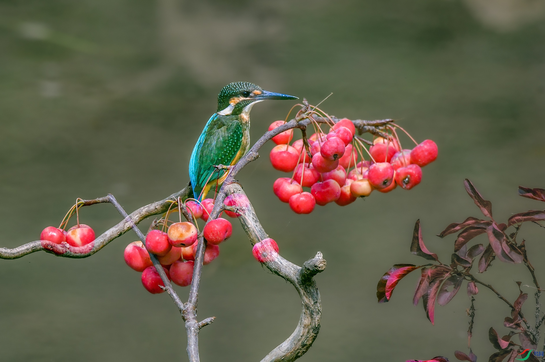DSC_7761_��ͼ�� ����.jpg
