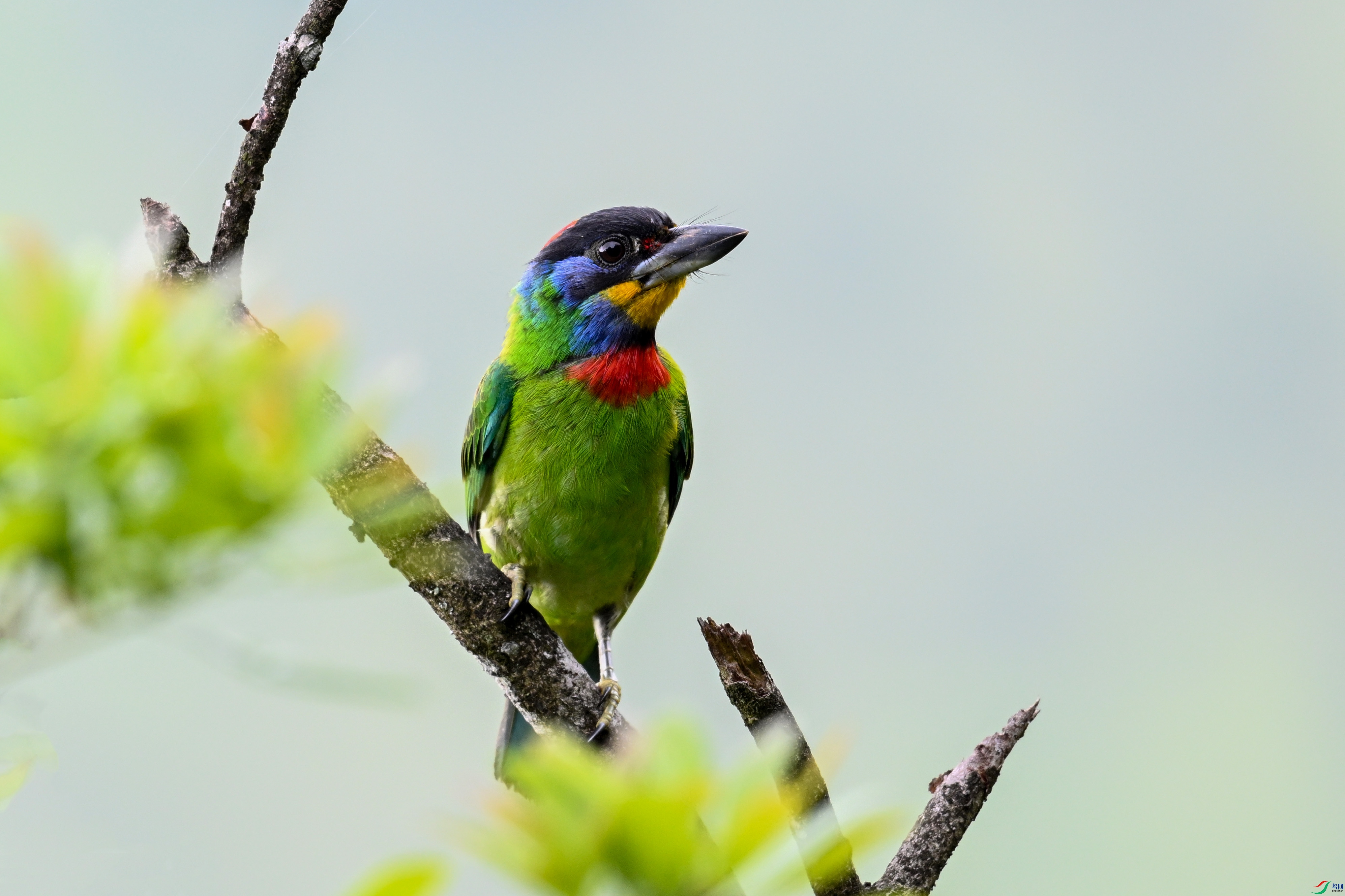 DSC_1104.JPG