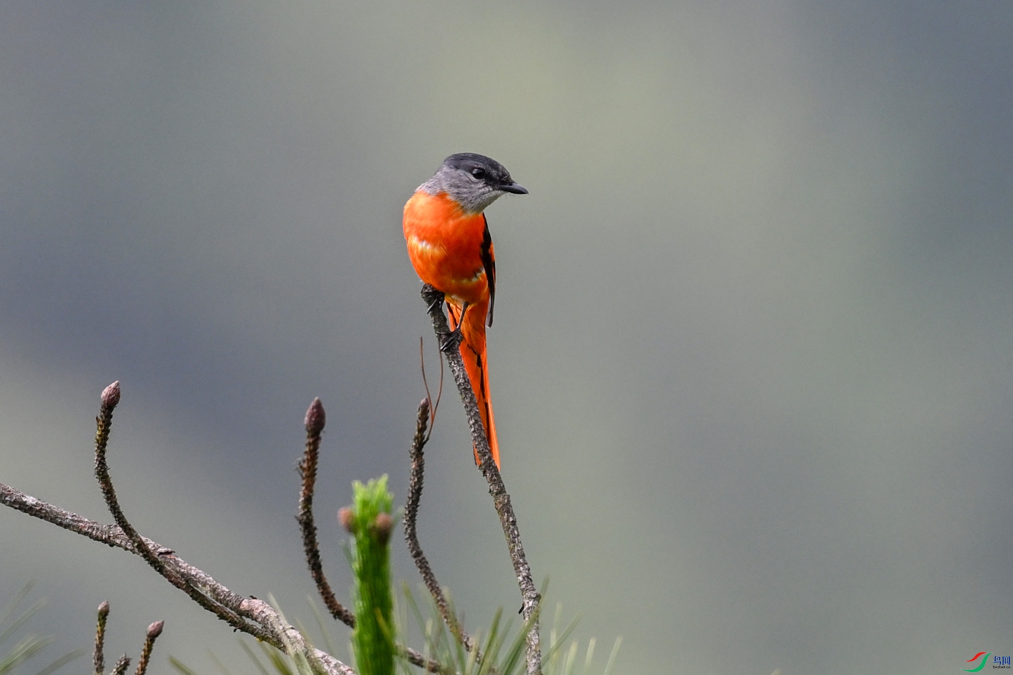 DSC_1024.JPG