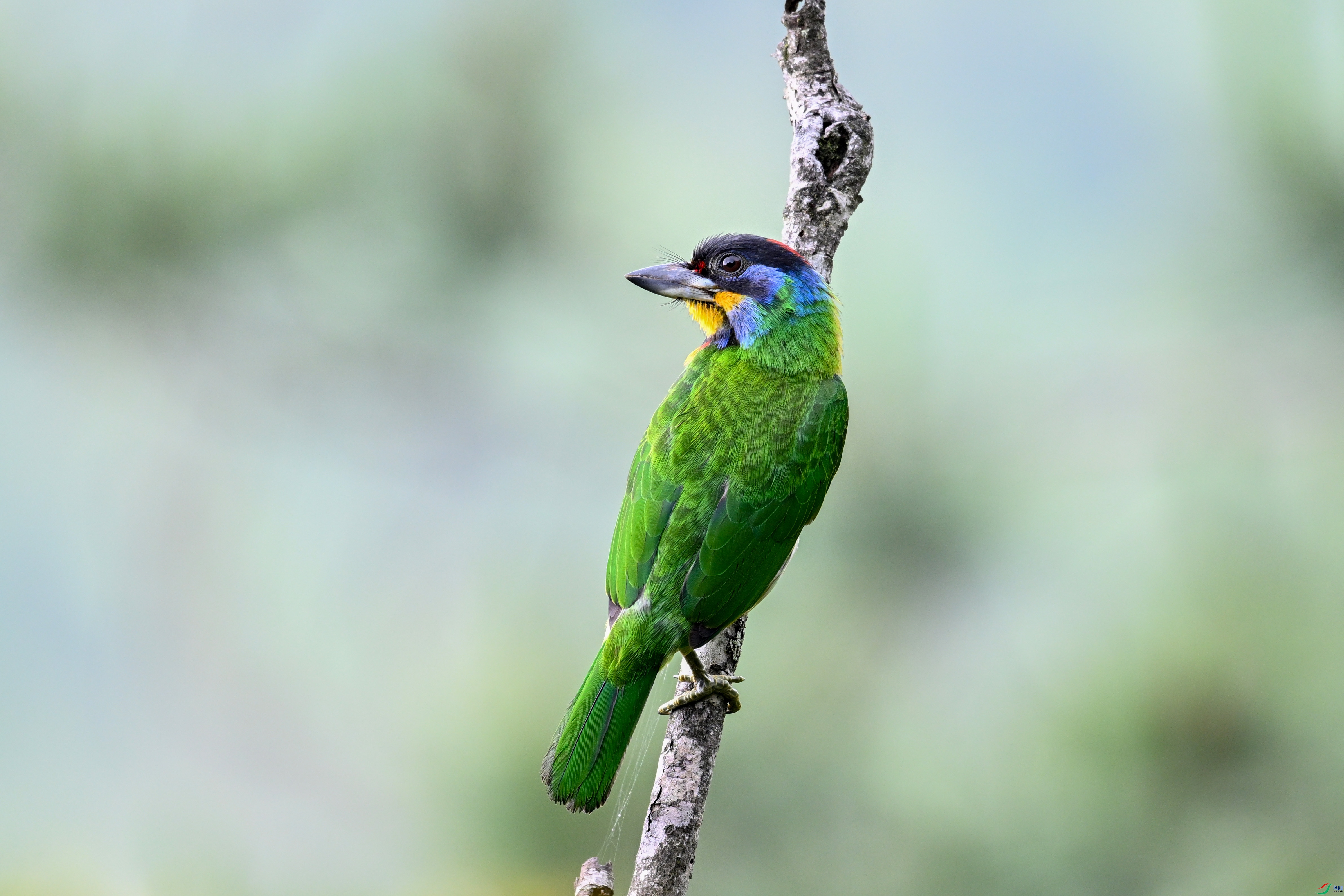 DSC_1077.JPG