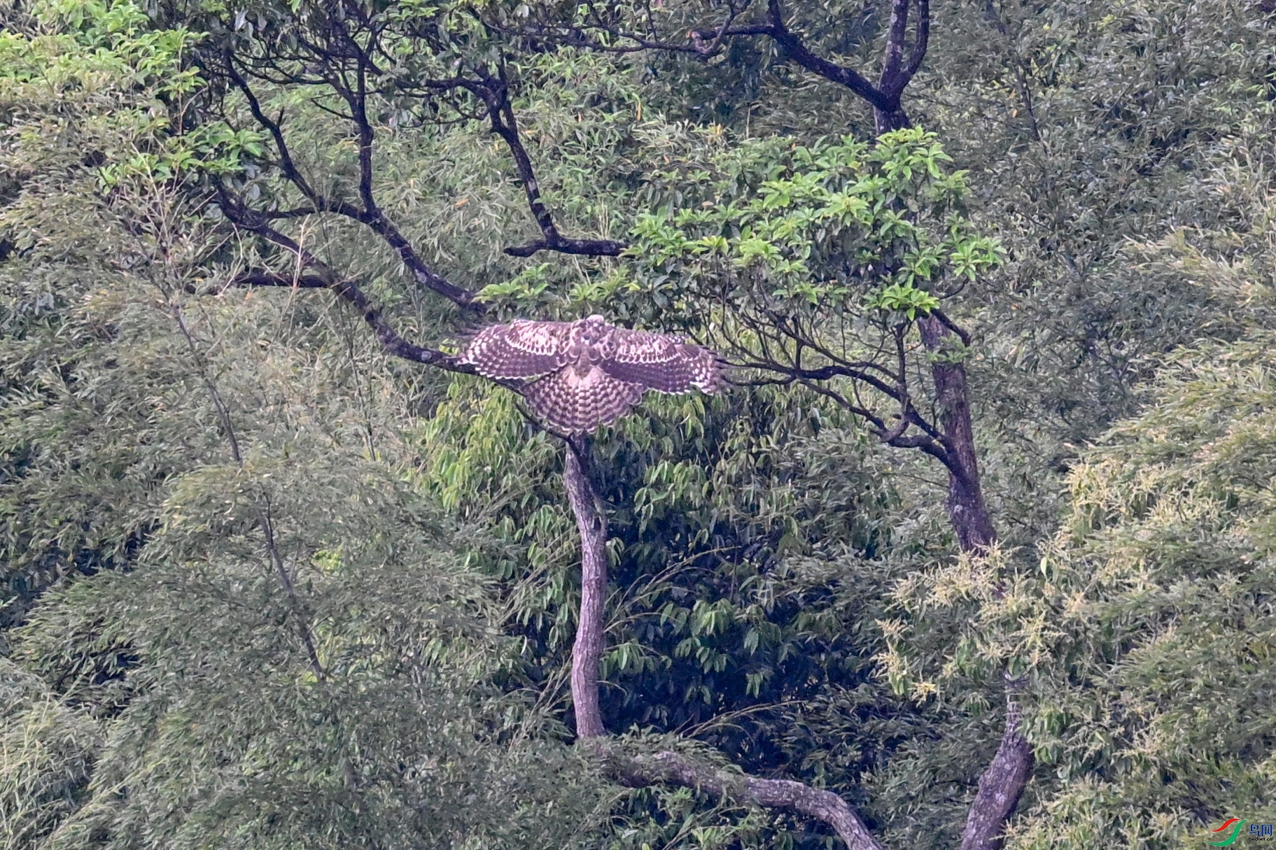 DSC_9697.JPG