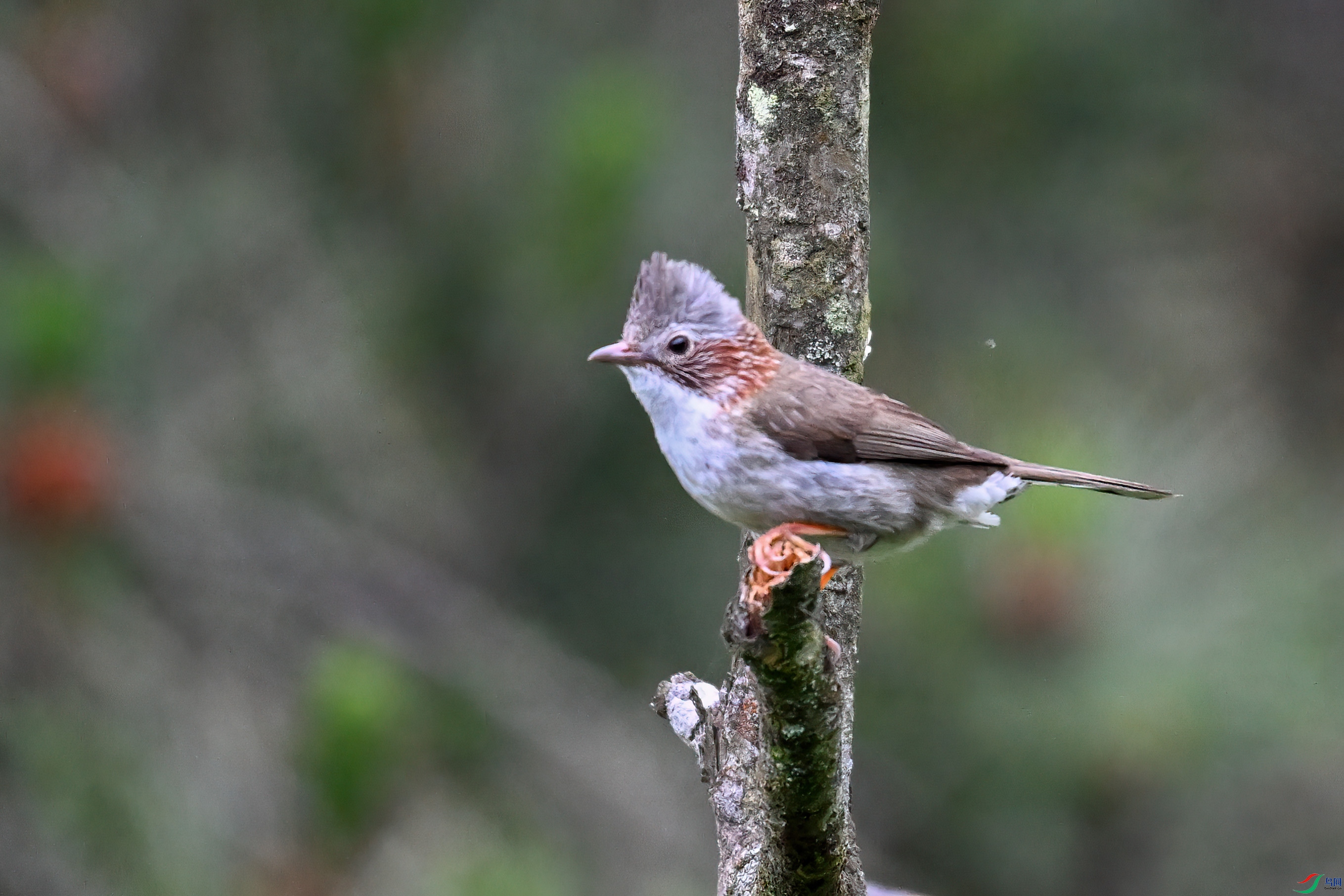DSC_9834.JPG