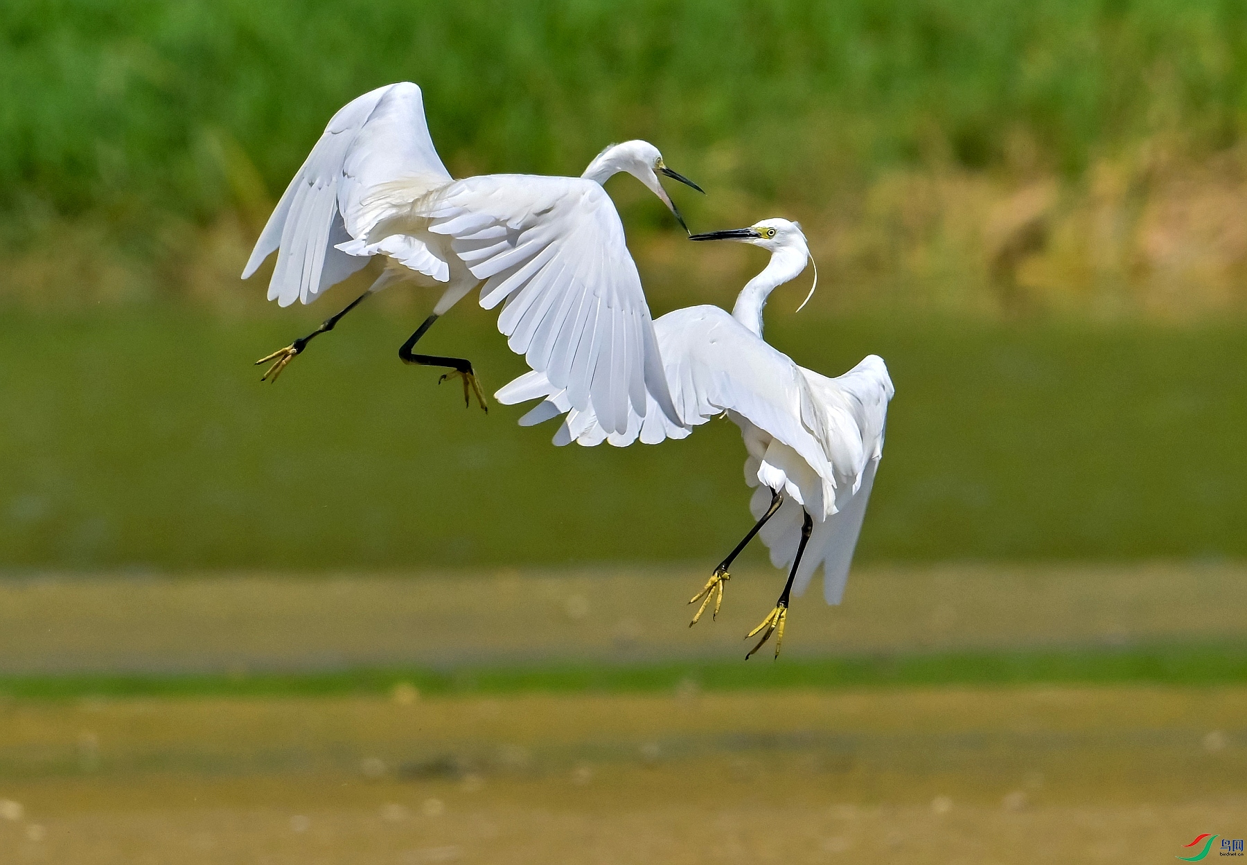 DSC_0429---_conew1.jpg