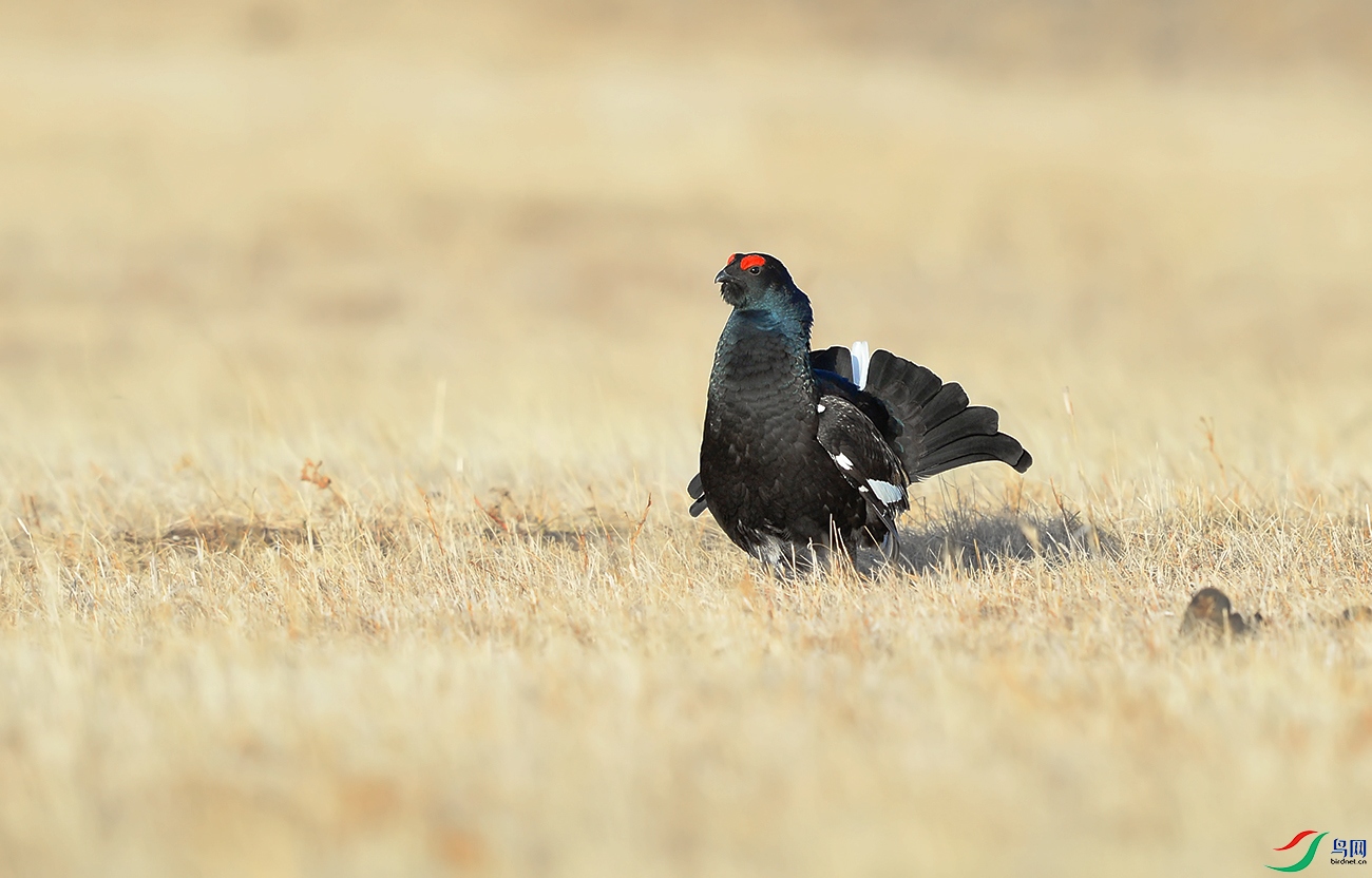DSC_0280.jpg