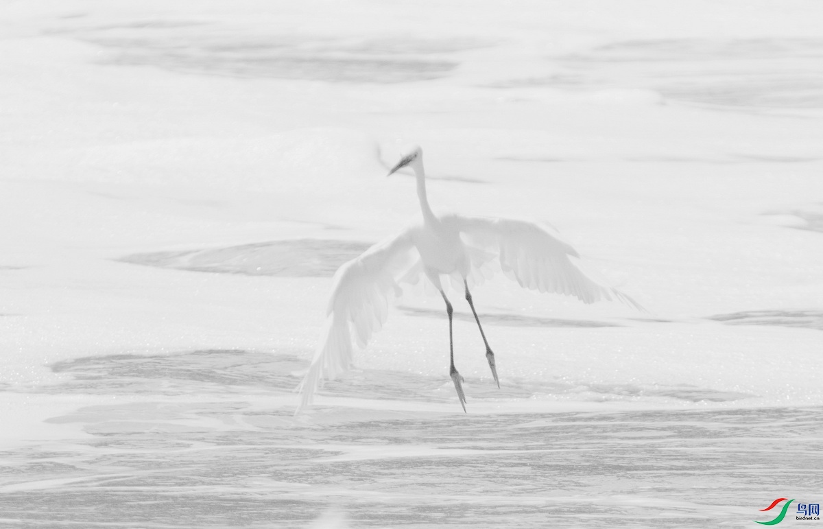 _DSC8325mn_������С.jpg