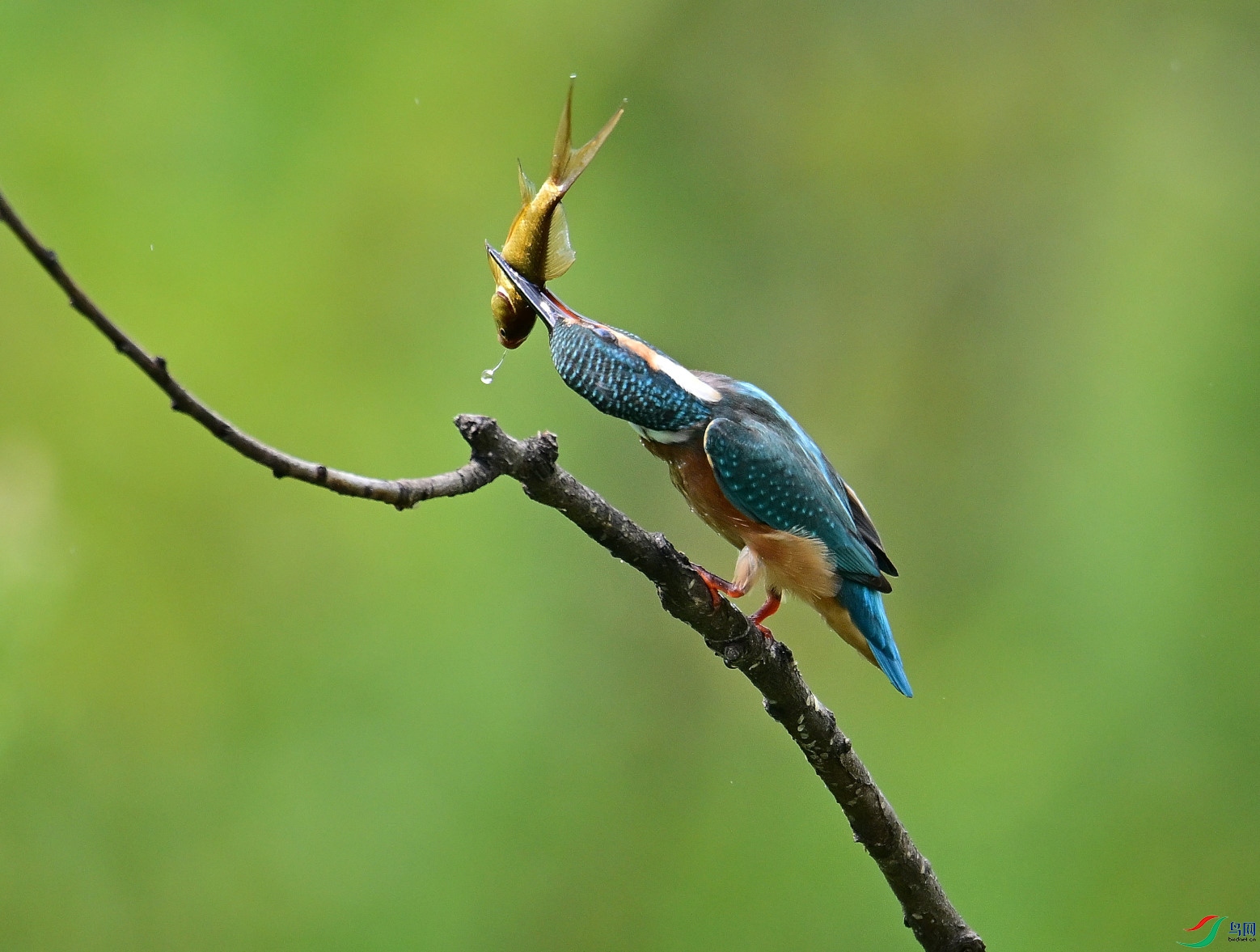 DSC_6513.JPG