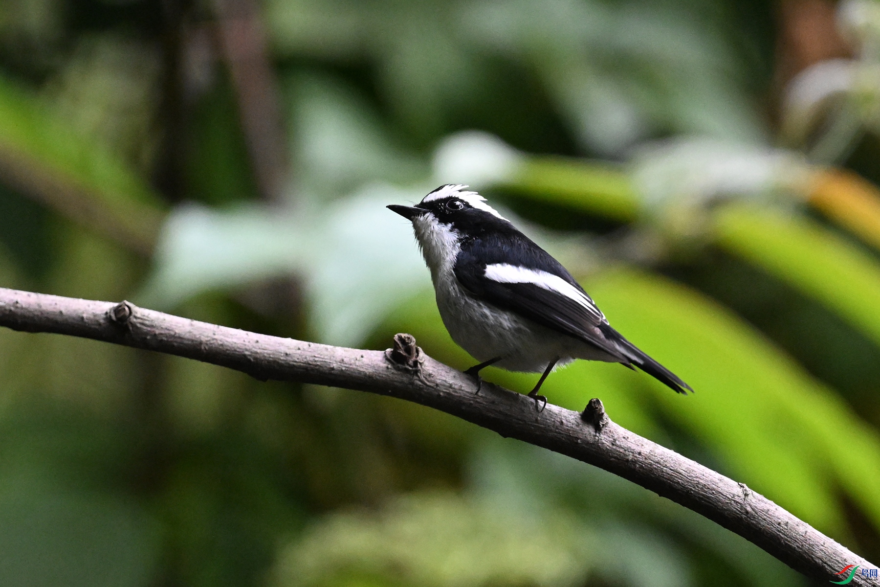 DSC_6428.JPG