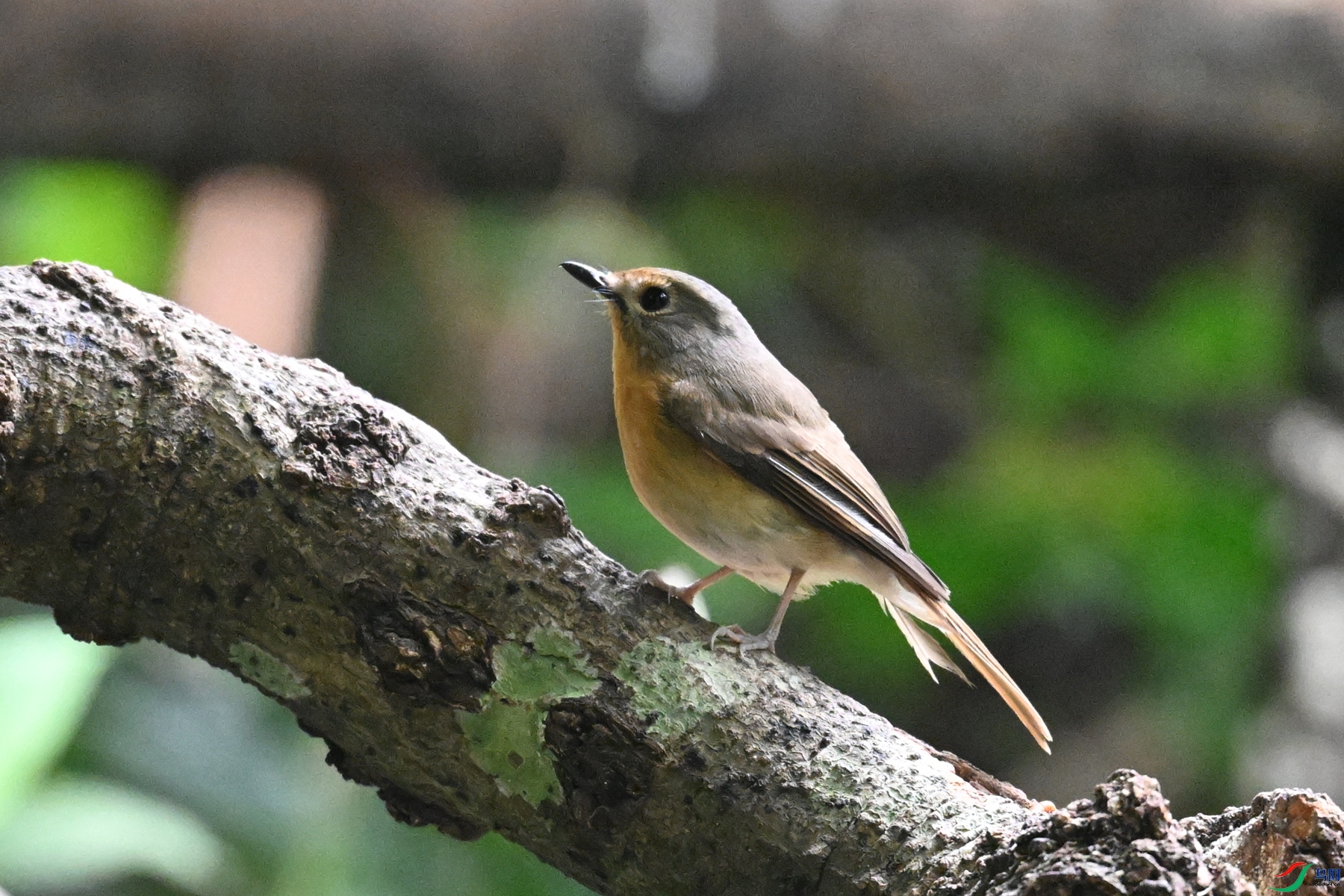 DSC_6389.JPG