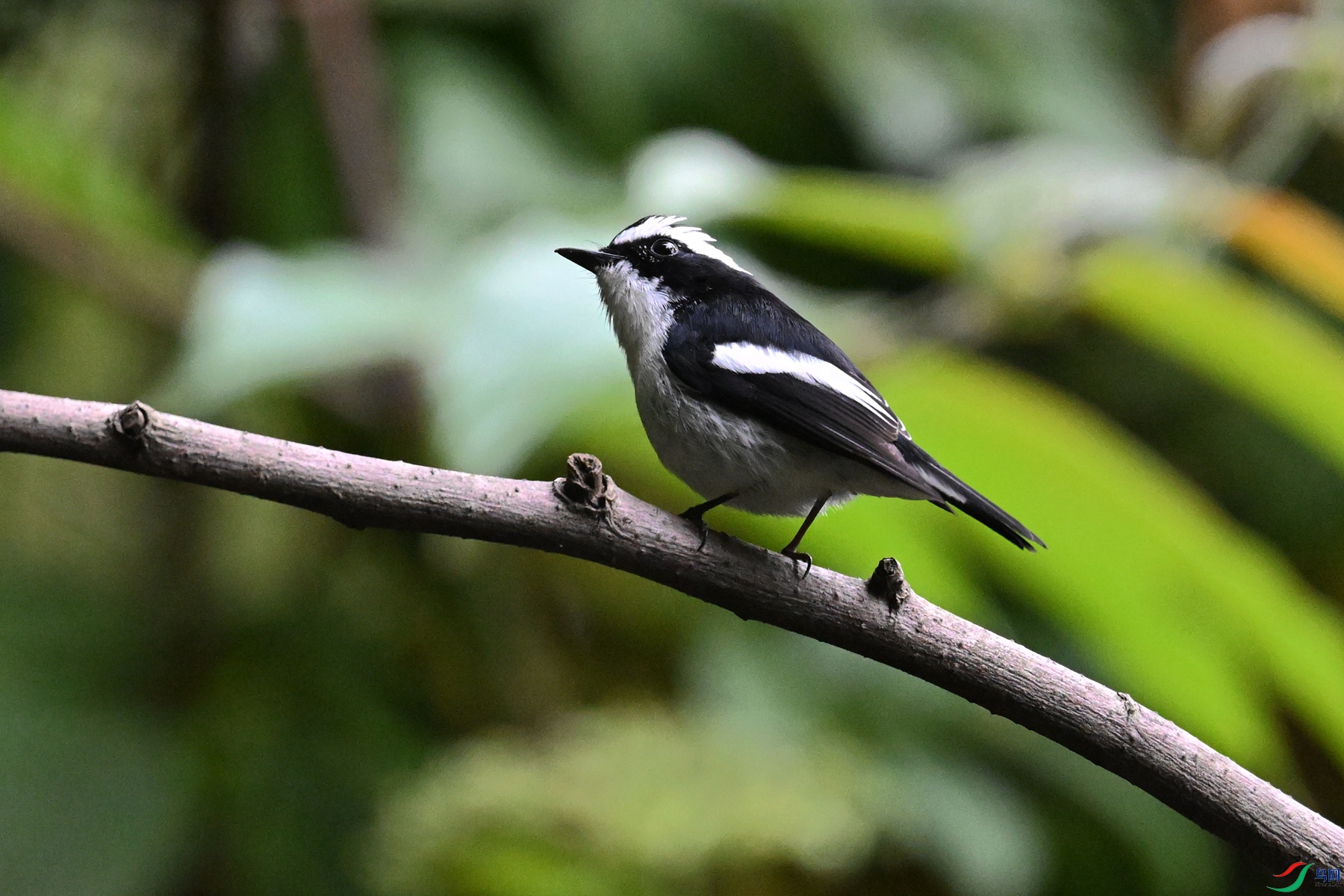 DSC_6430.JPG