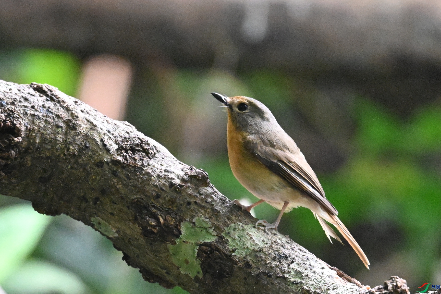 DSC_6390.JPG