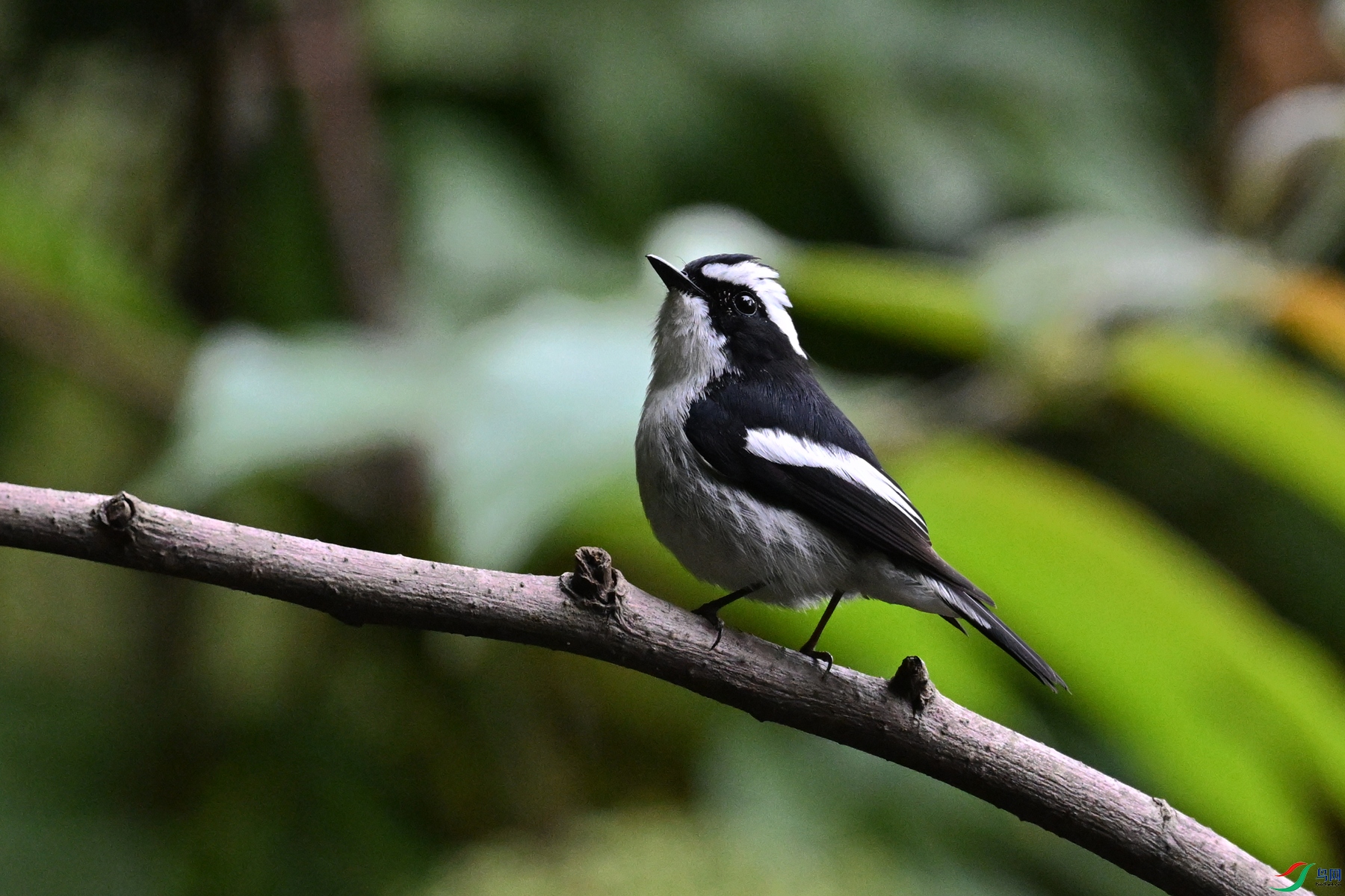 DSC_6432.JPG