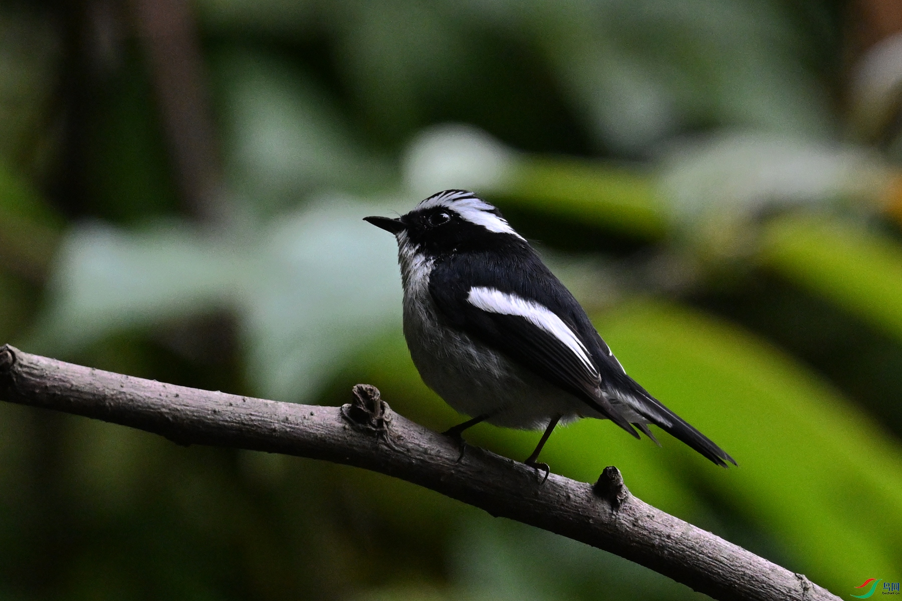 DSC_6434.JPG