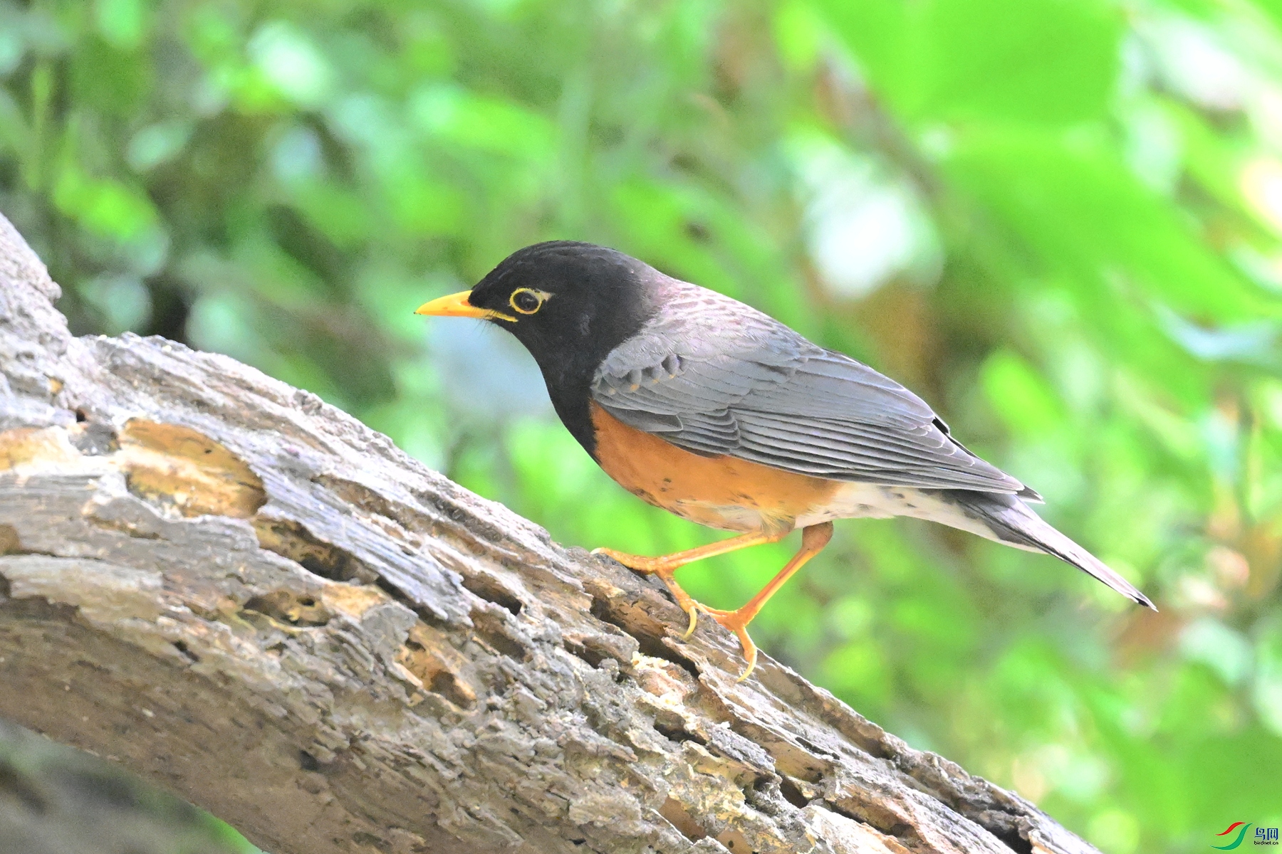 DSC_6401.JPG
