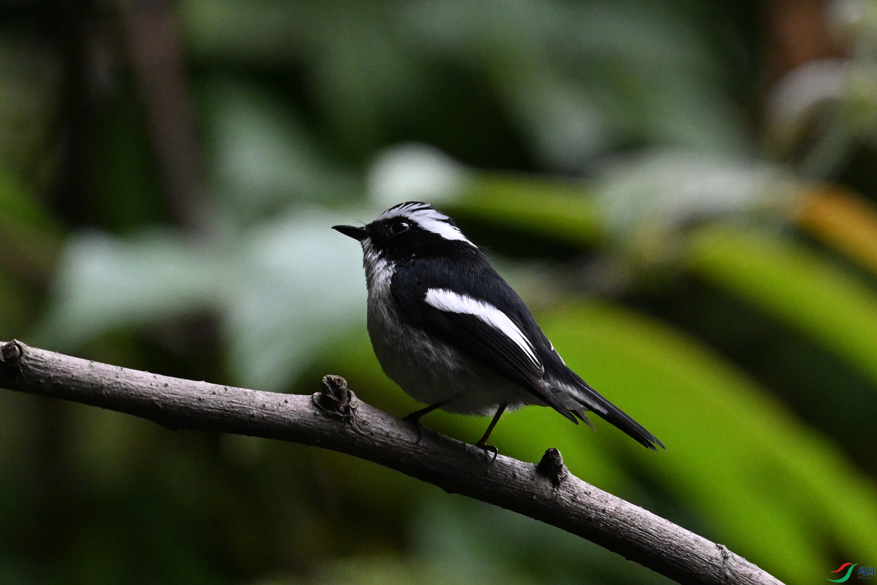 DSC_6436.JPG