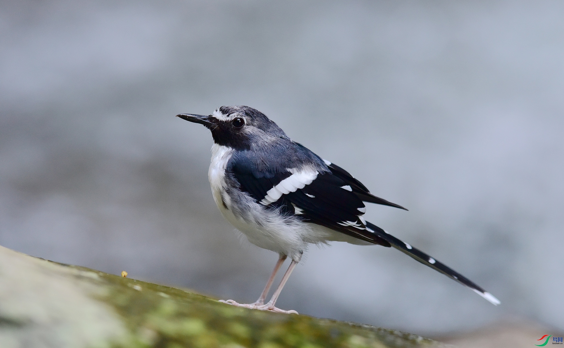 D8I_0135.jpg