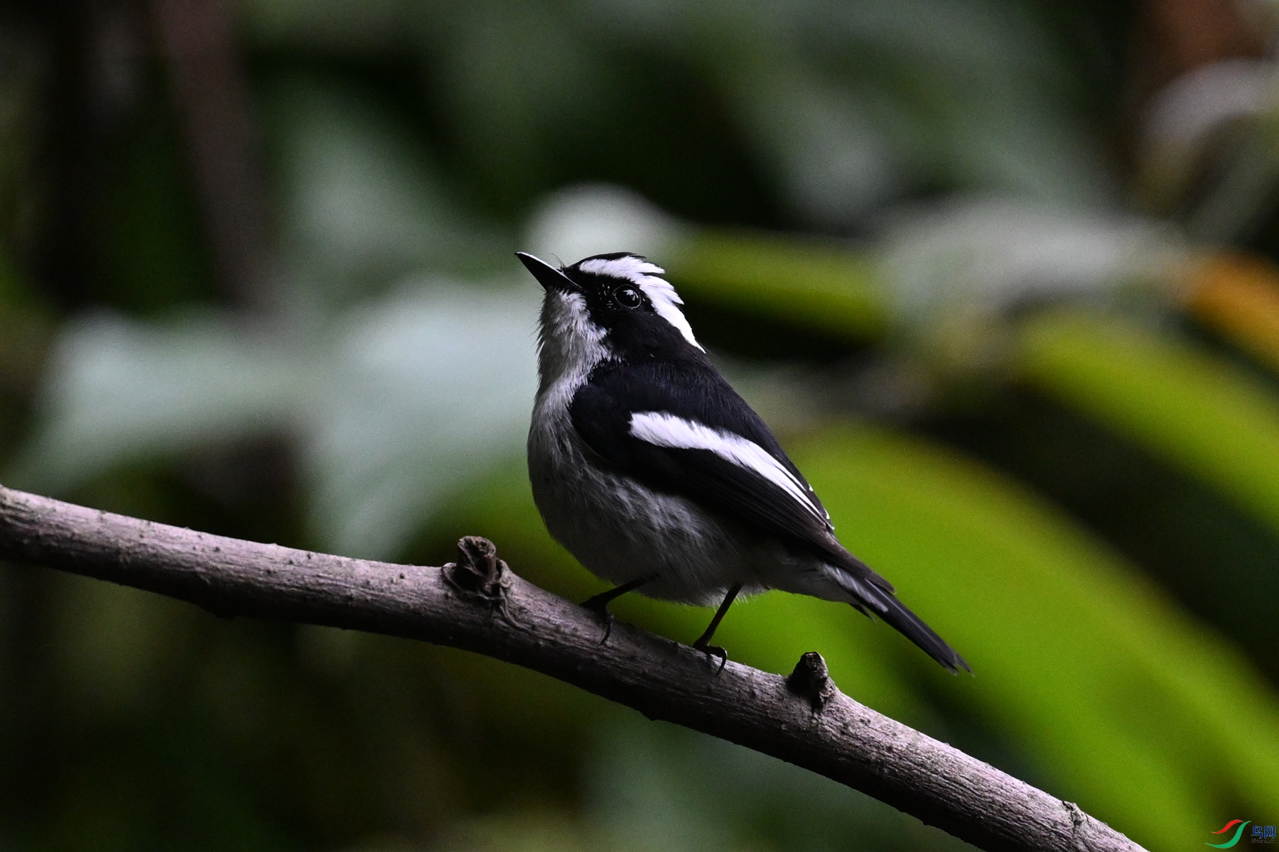 DSC_6424.JPG