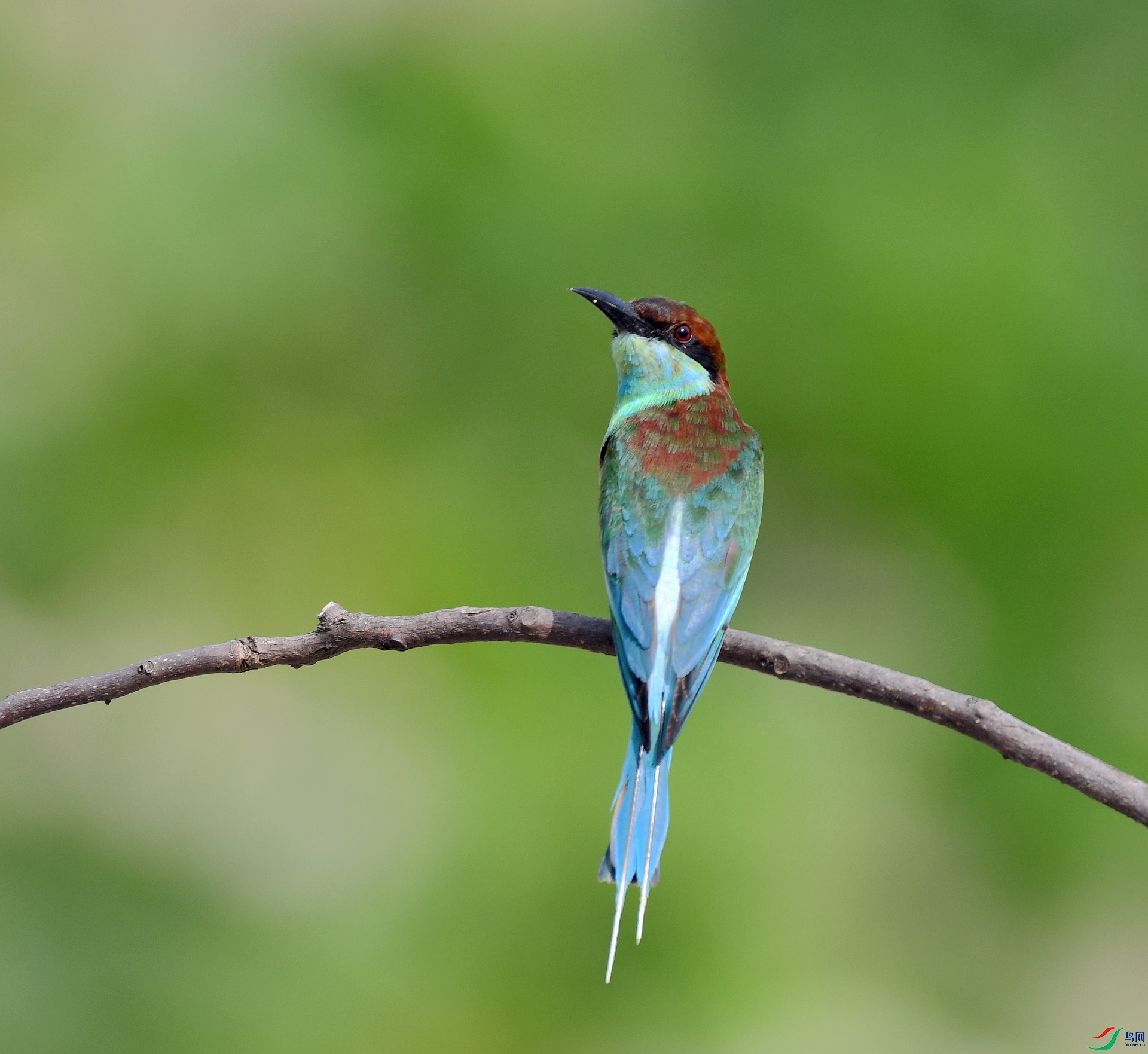 DSC_0631.jpg