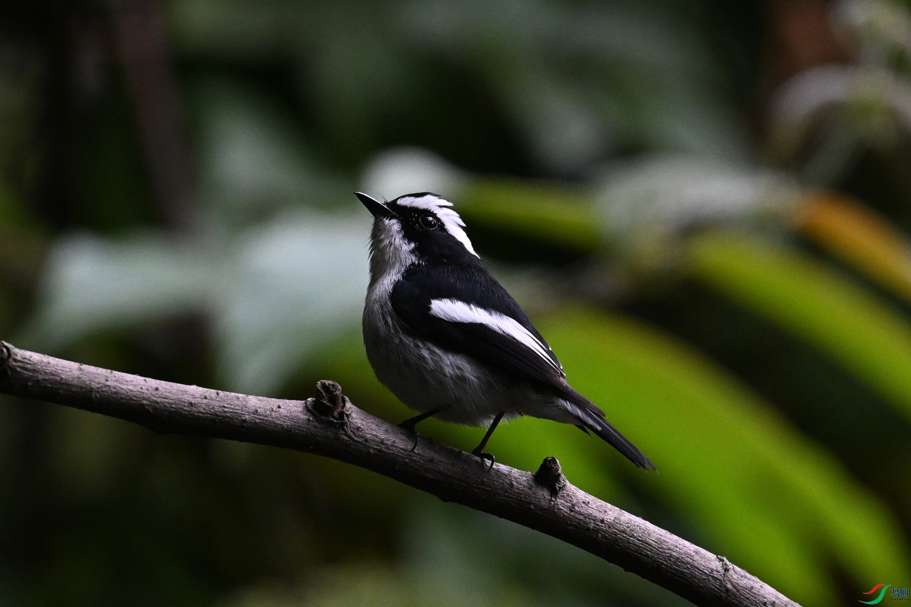 DSC_6425.JPG