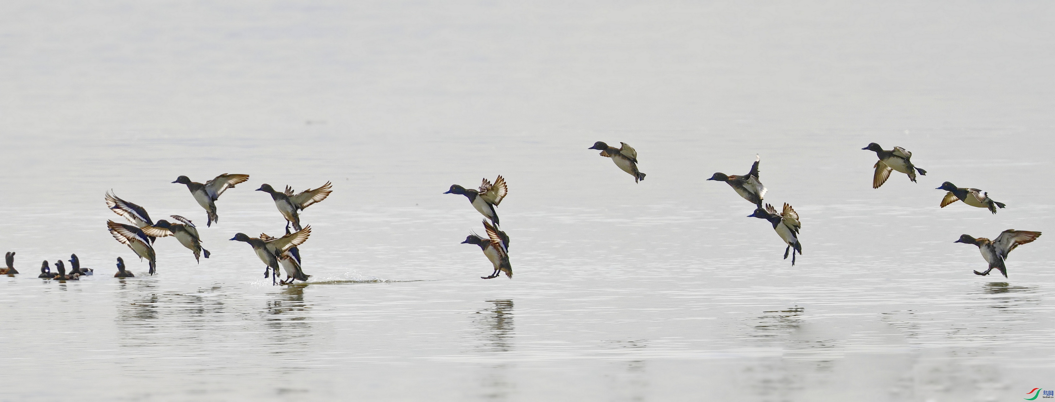 00007116-199.JPG