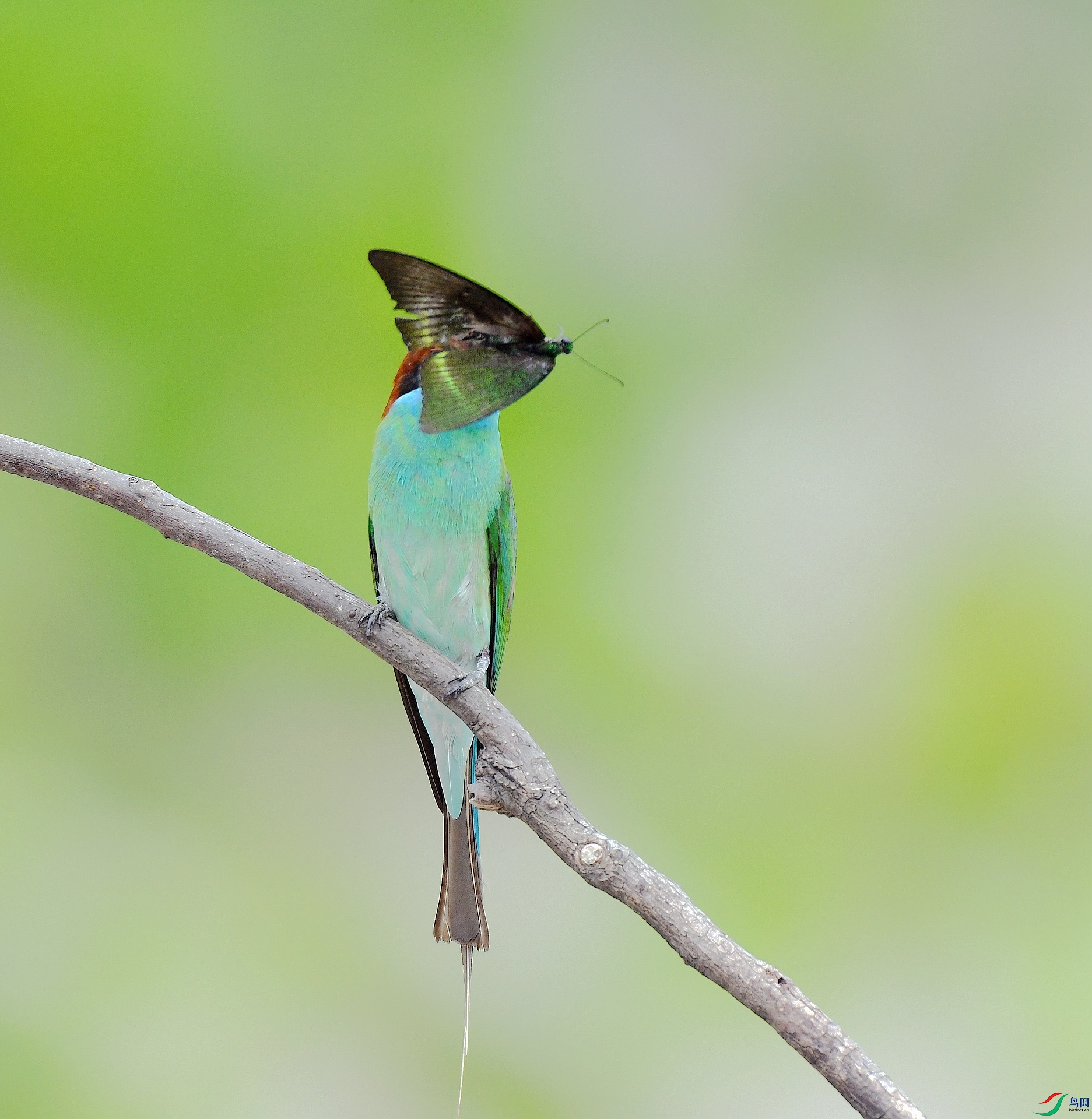 DSC_0707.jpg