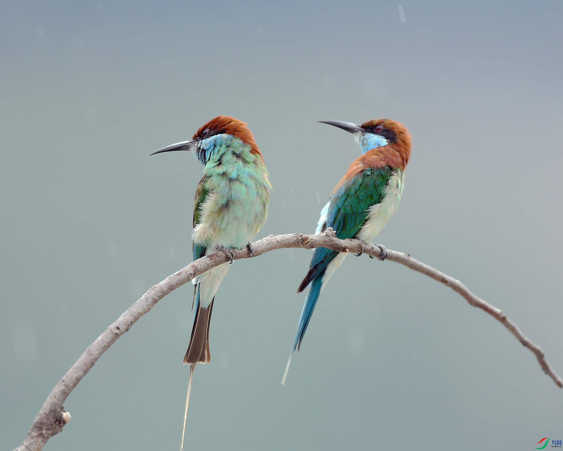 DSC_0612.jpg