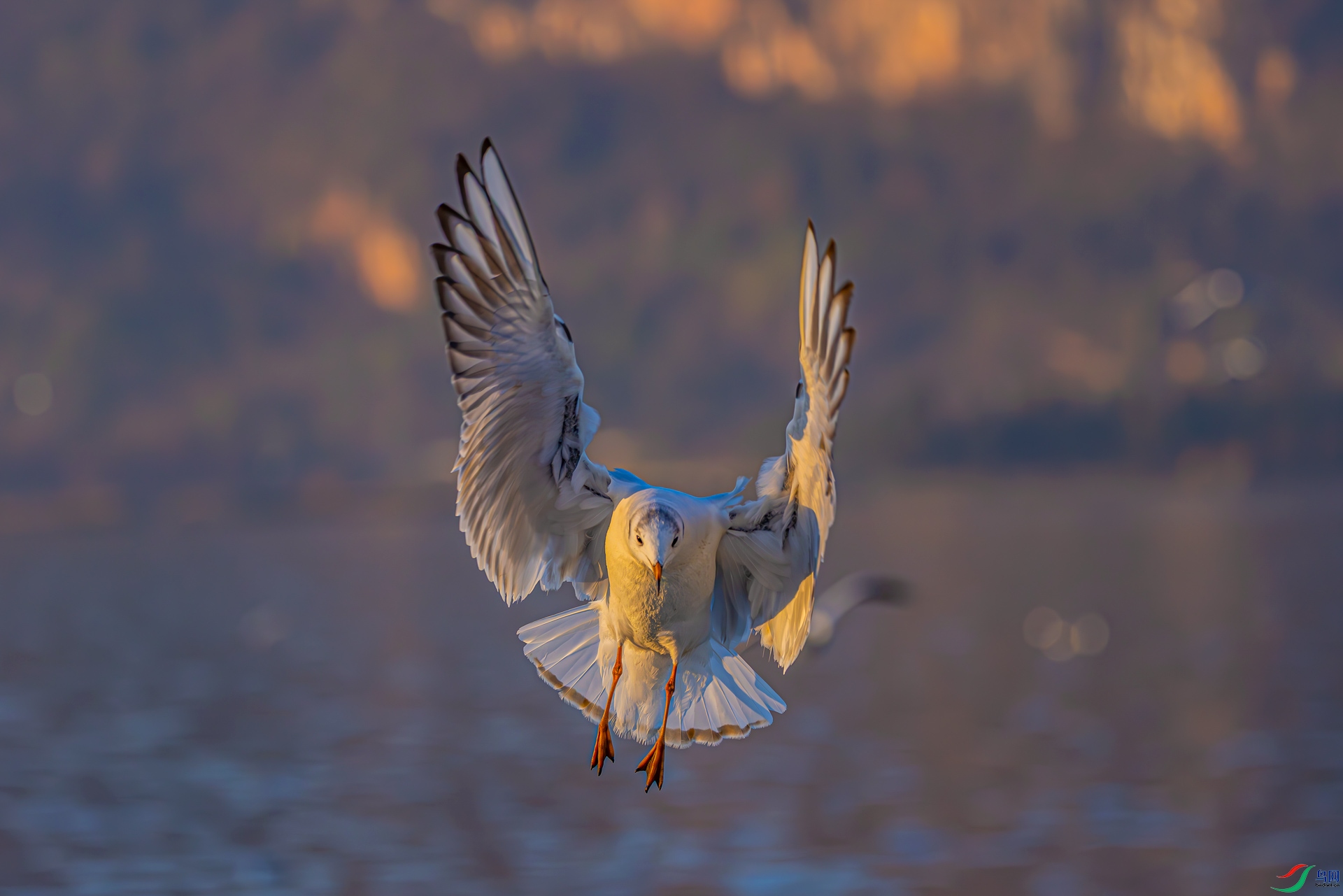 475A5772-1.jpg