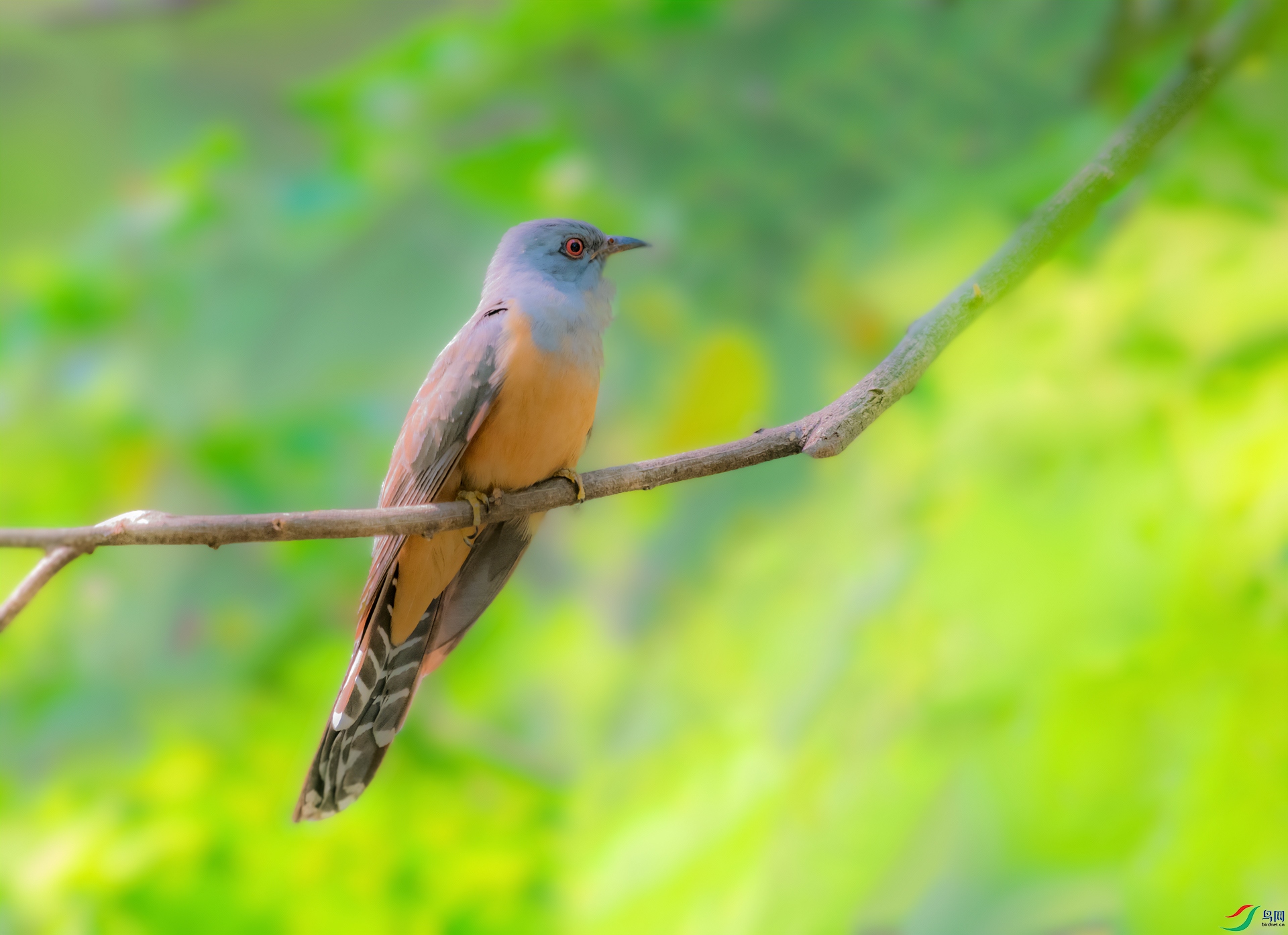 DSC_0457.jpg