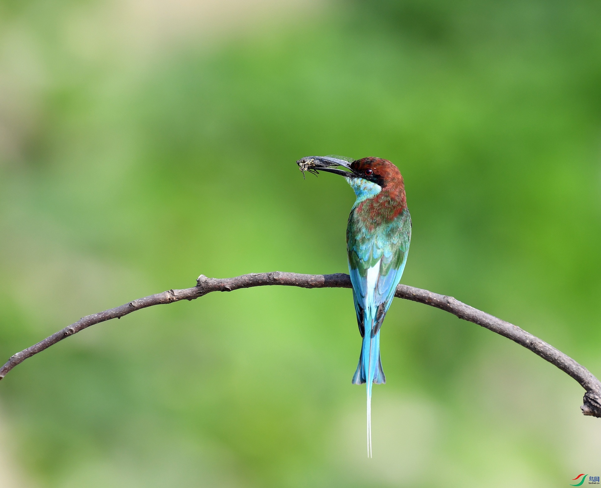 DSC_0497.jpg