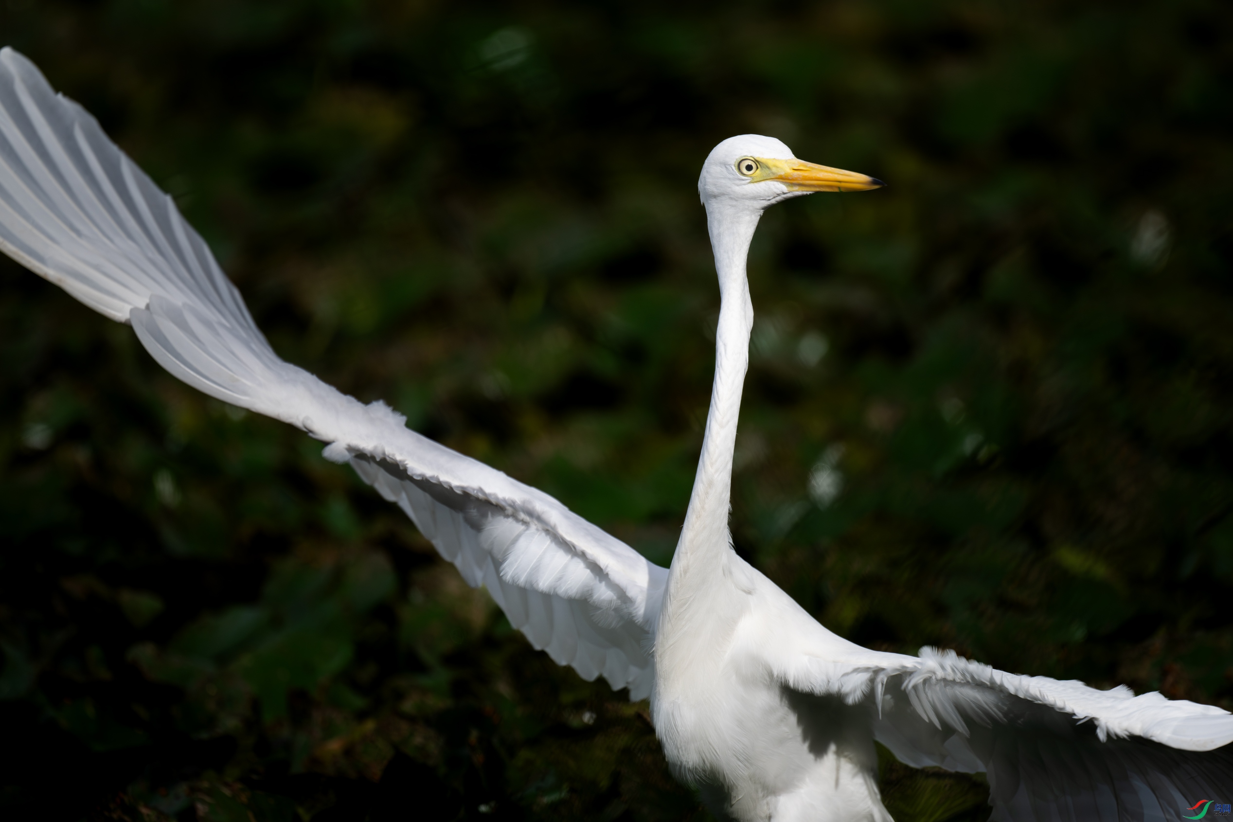 DSC_7027-2.jpg