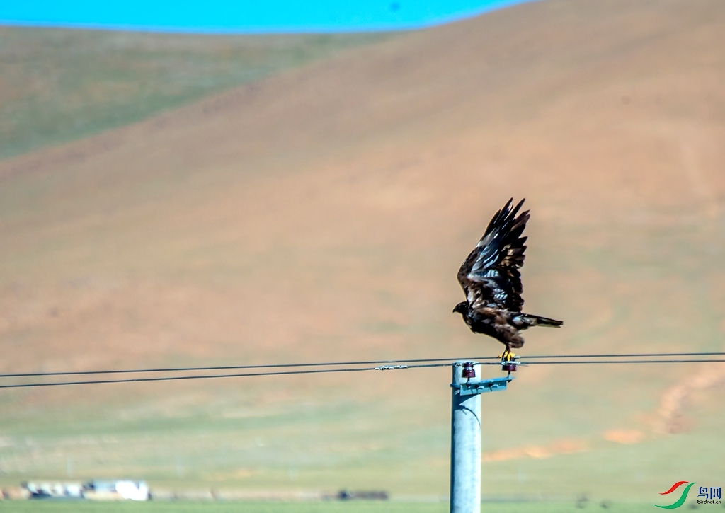 _DSC0808.jpg